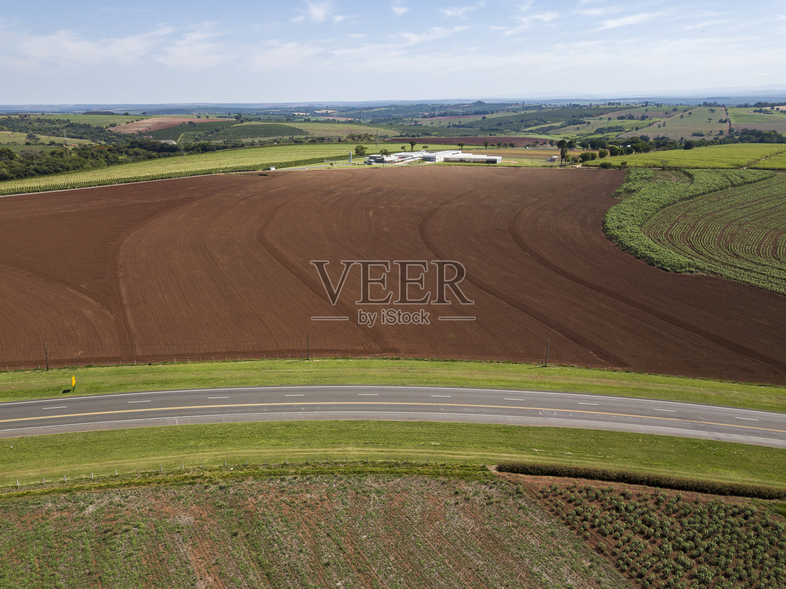 人工林鸟瞰图照片摄影图片