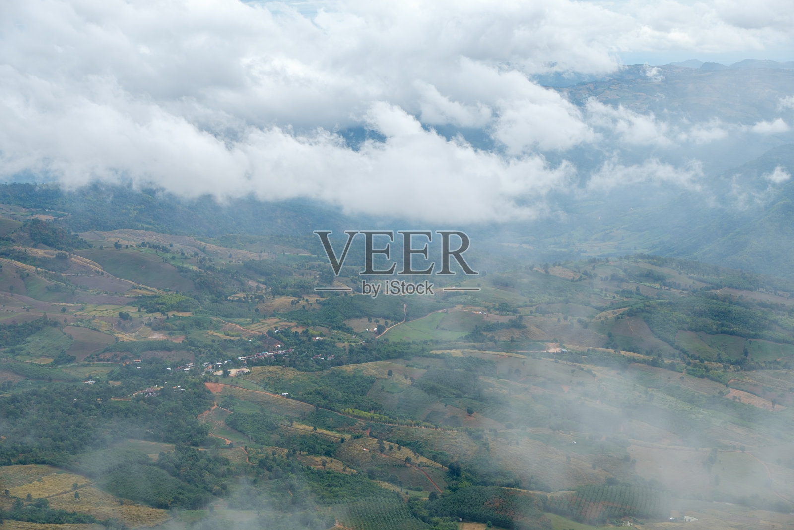 在清晨被云覆盖的高山附近的小山上的种植园，照片摄影图片