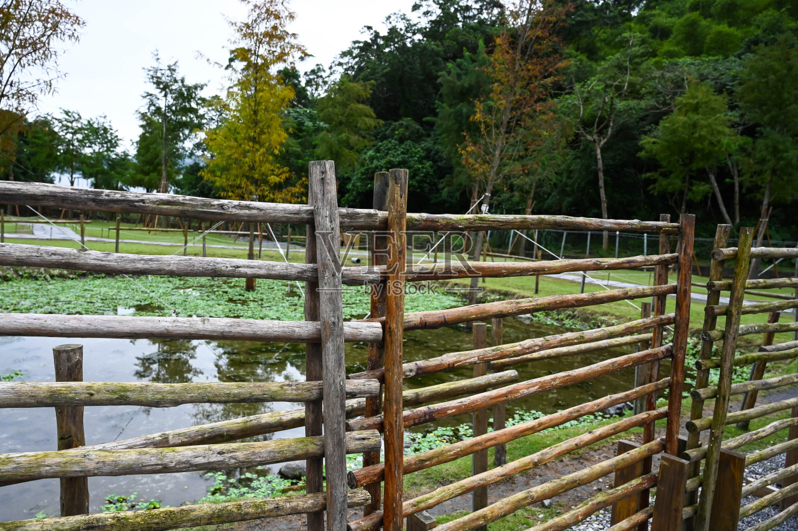 公园里沿湖的木栅栏。照片摄影图片