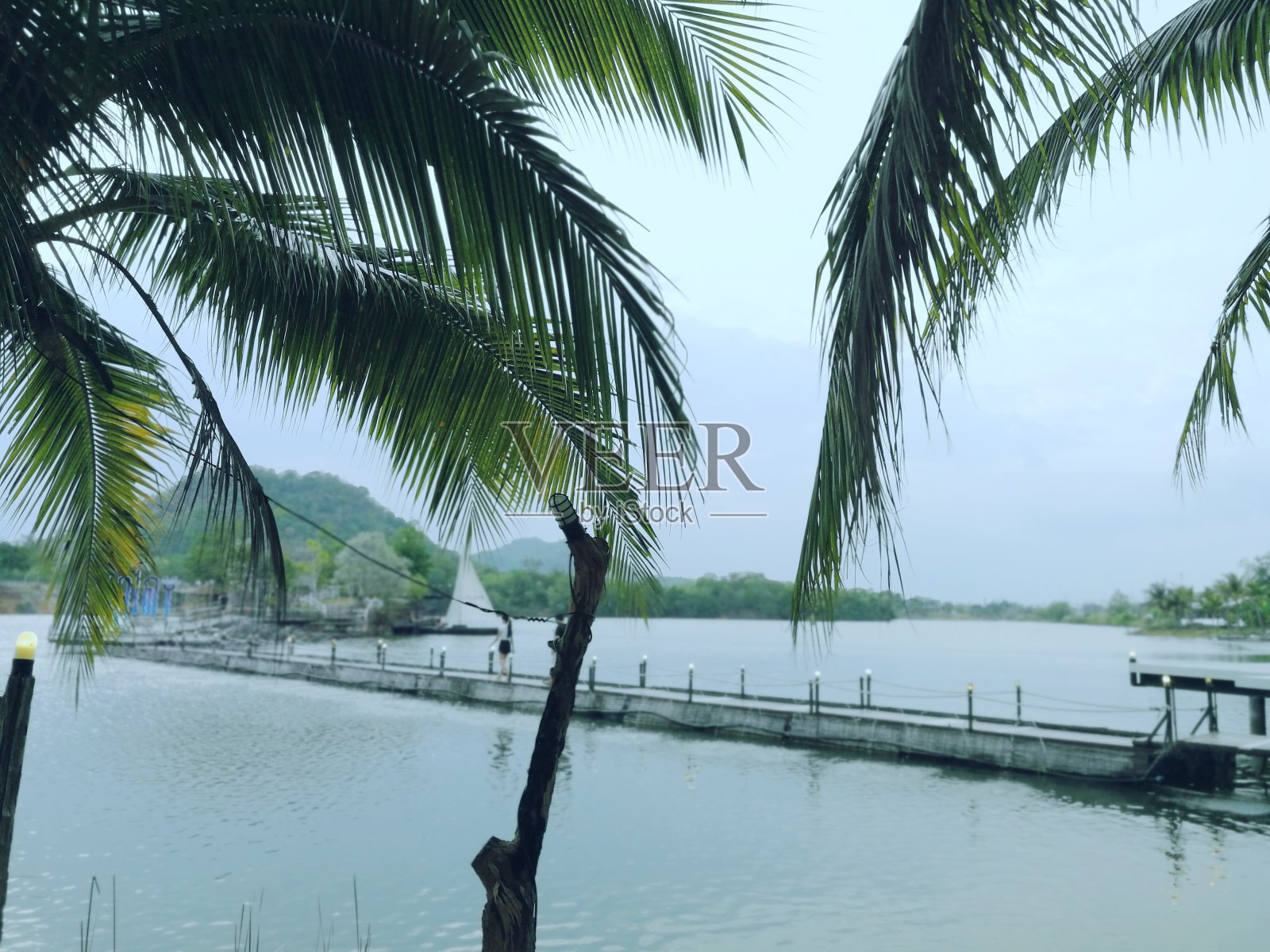 透过椰叶的叶脉，你可以看到一座横跨湖面的桥，游客可以在桥上行走。照片摄影图片