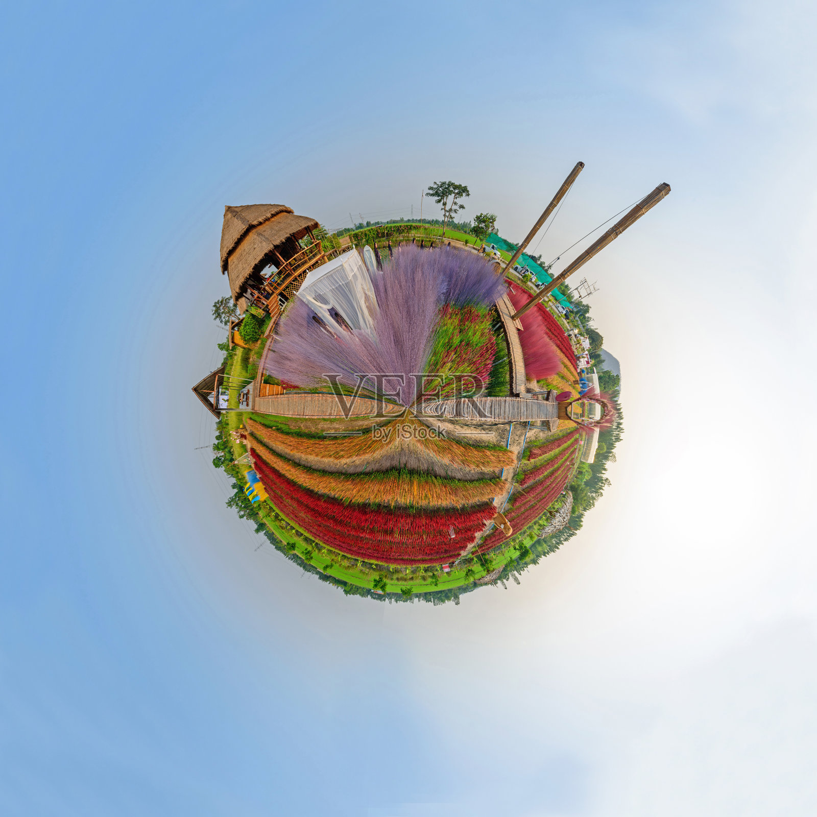 360幅美丽多彩的中国羊毛花公园日落全景图照片摄影图片