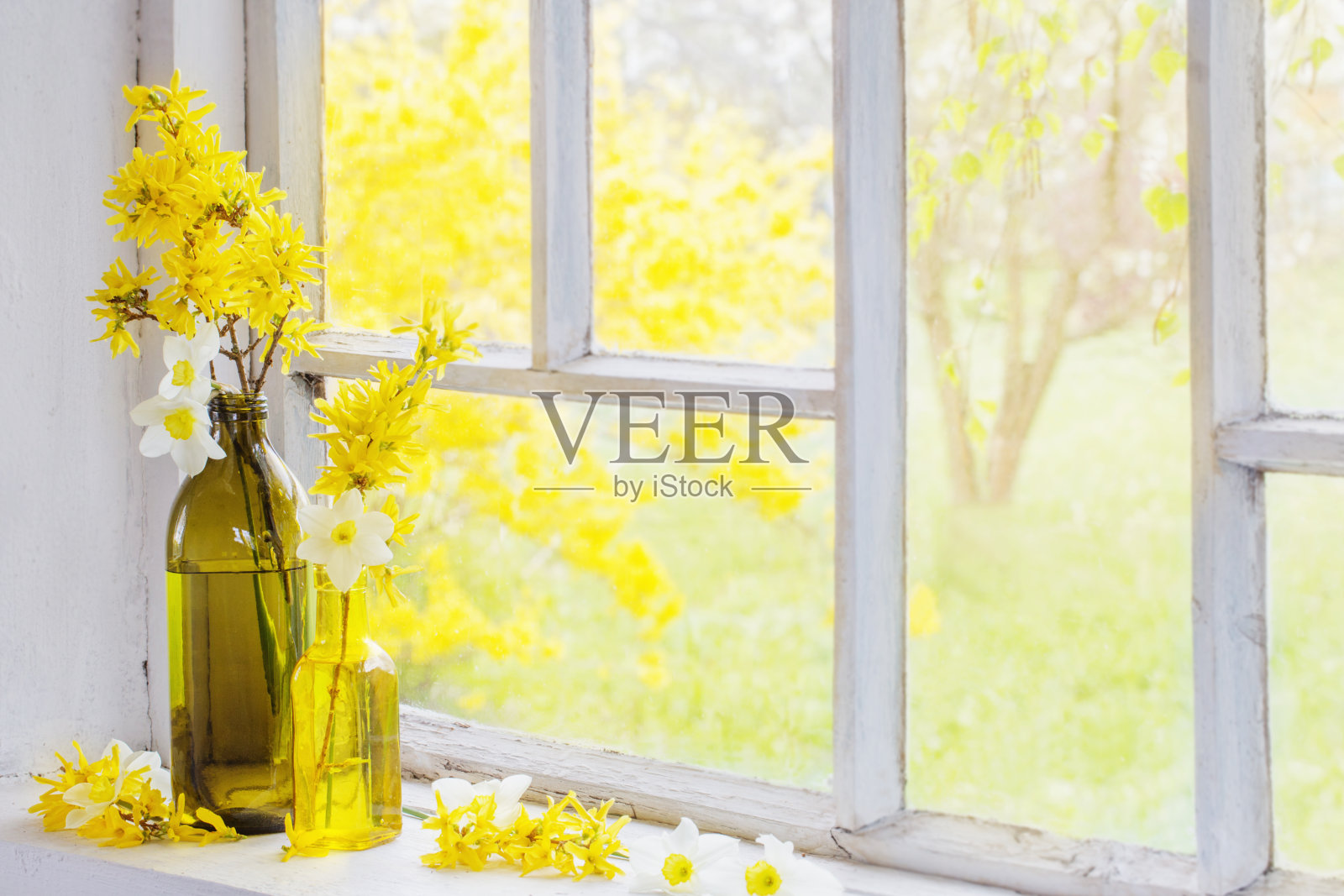 窗台上黄澄澄的春花照片摄影图片