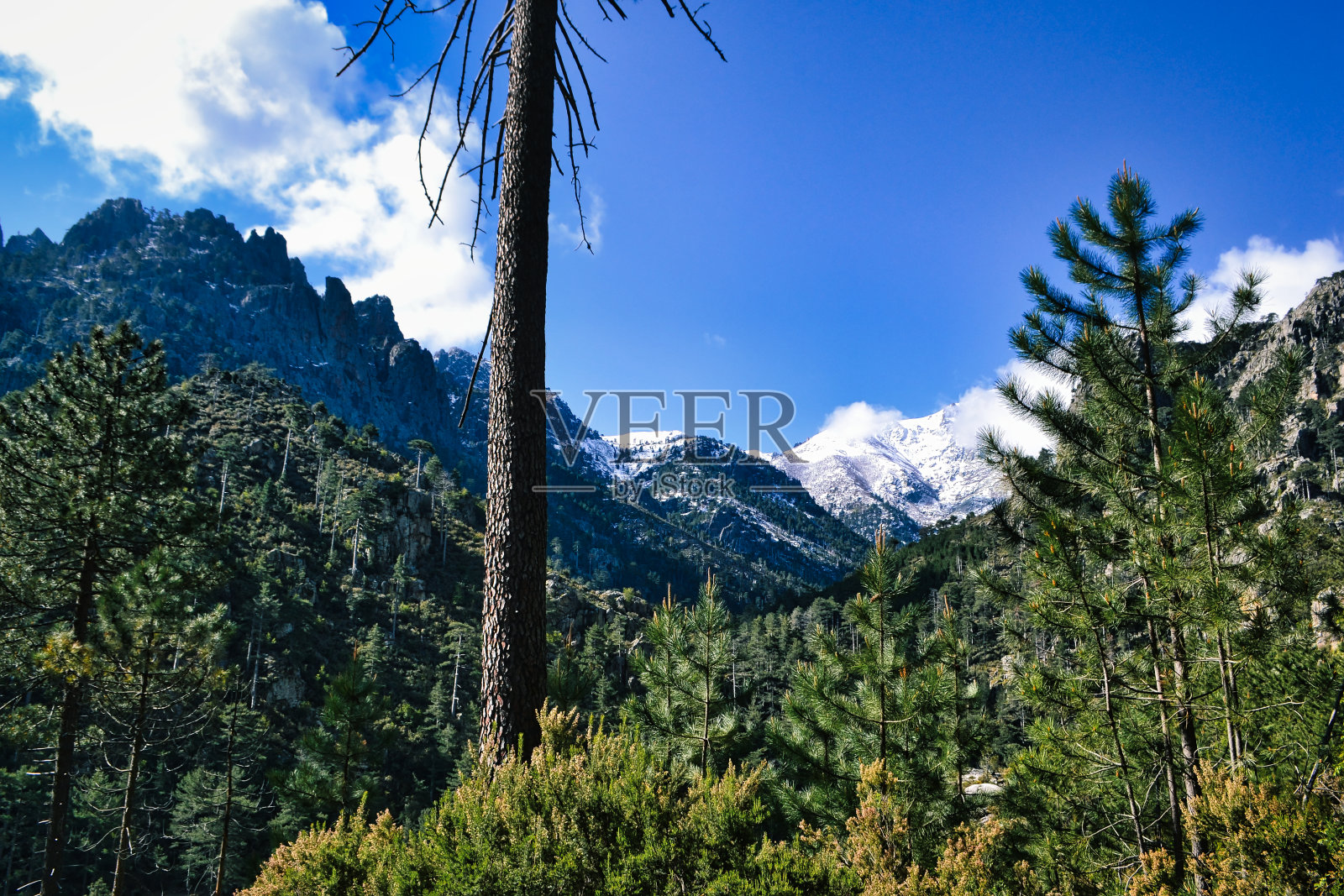 科西嘉人山照片摄影图片