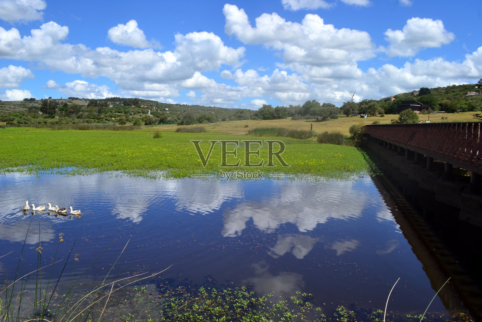 乌拉圭拉瓦莱亚山村的湖照片摄影图片
