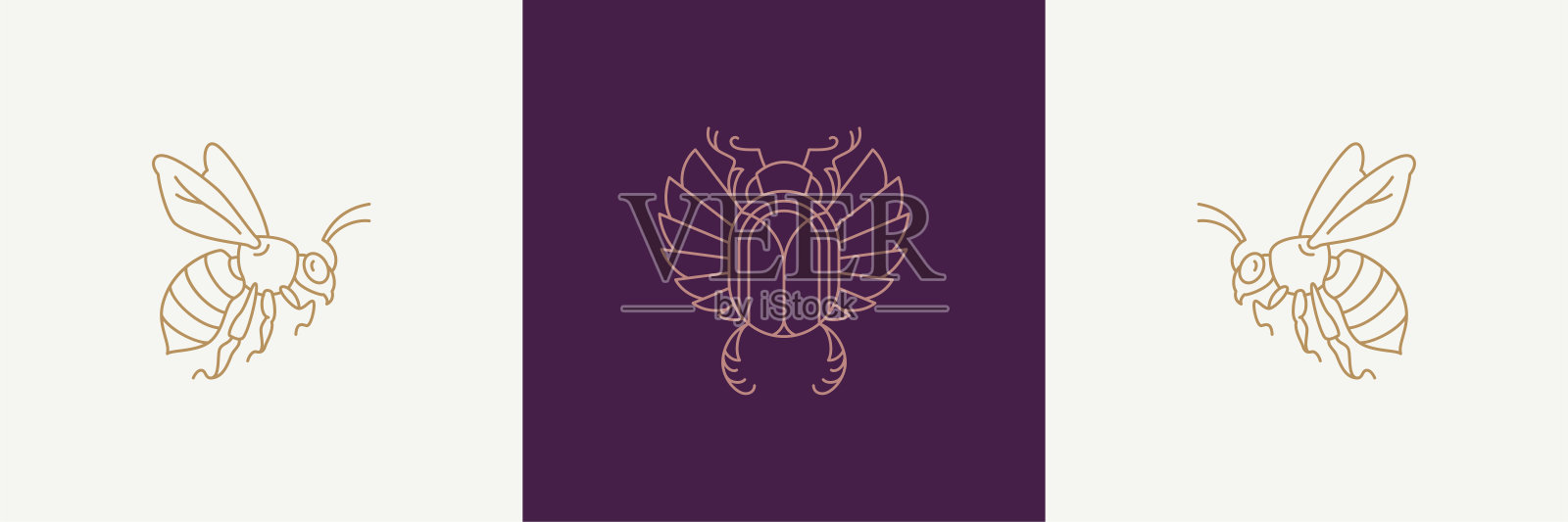 魔法飞行神圣的黄蜂和卡拉布在波西米亚线性风格矢量插图集插画图片素材