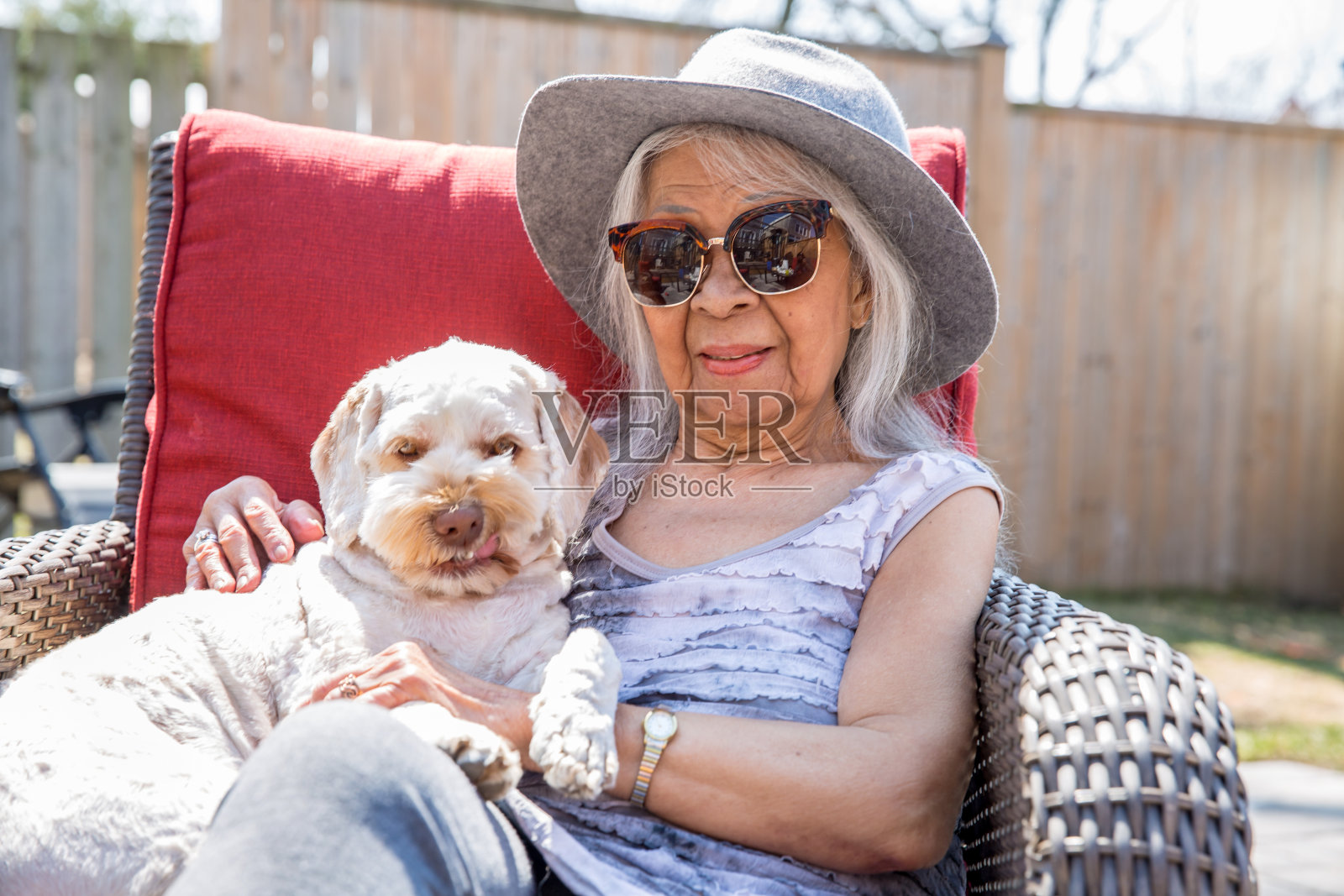 一位老年妇女和一只狗照片摄影图片