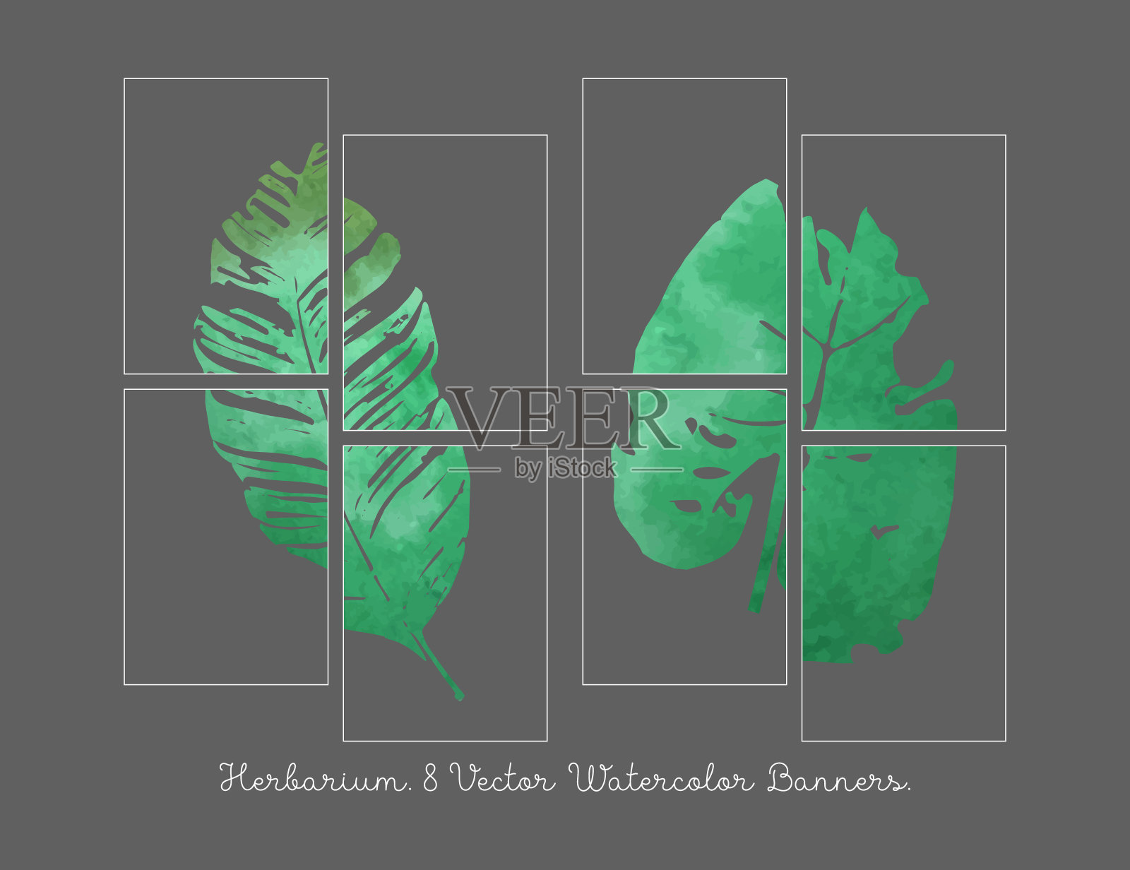 贺卡模板。插画图片素材