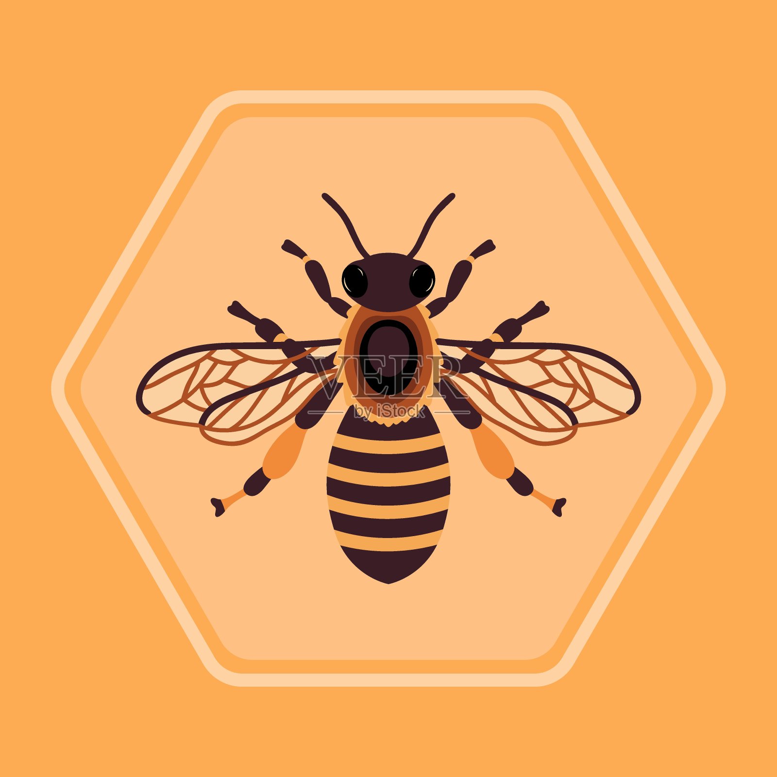 向量蜜蜂。蜂房里的蜜蜂。飞行蜂王标签。矢量平面插图。插画图片素材