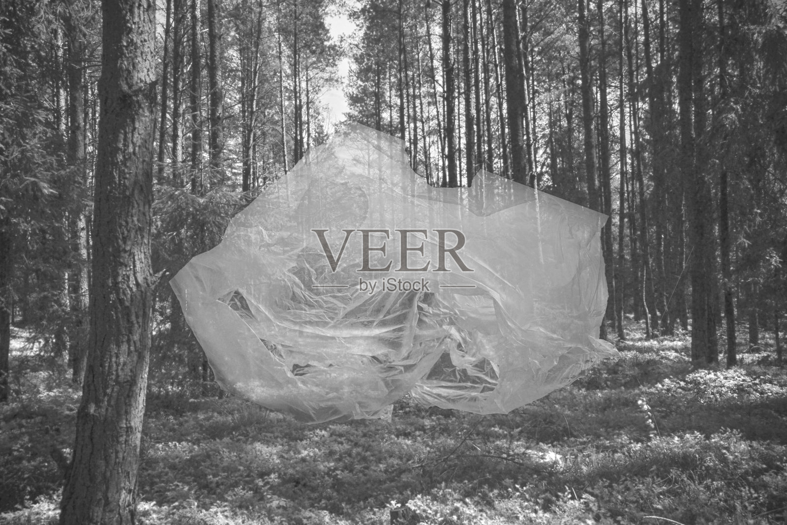 超现实的购物袋照片摄影图片