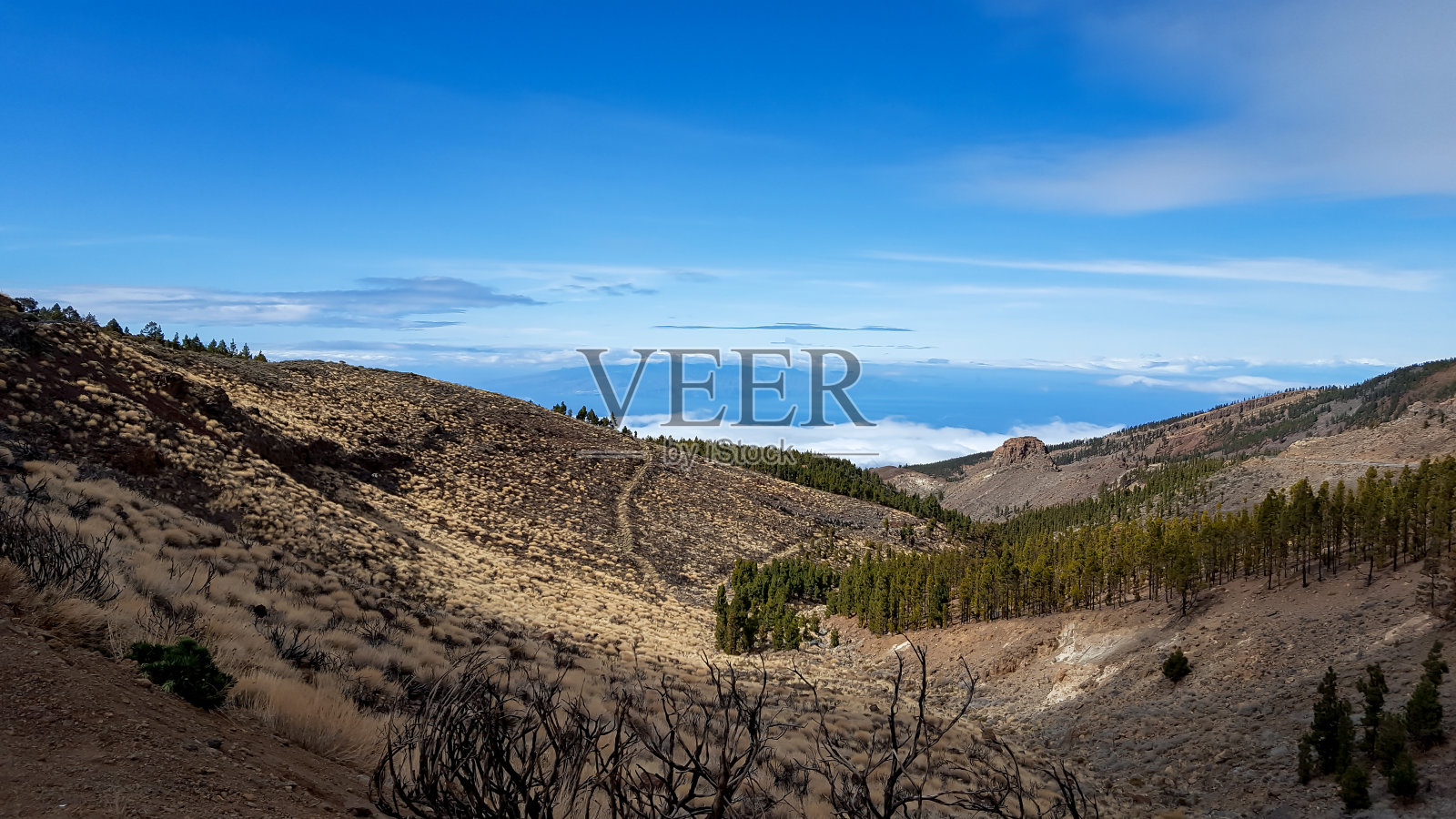 特内里费岛美丽的自然风光照片摄影图片
