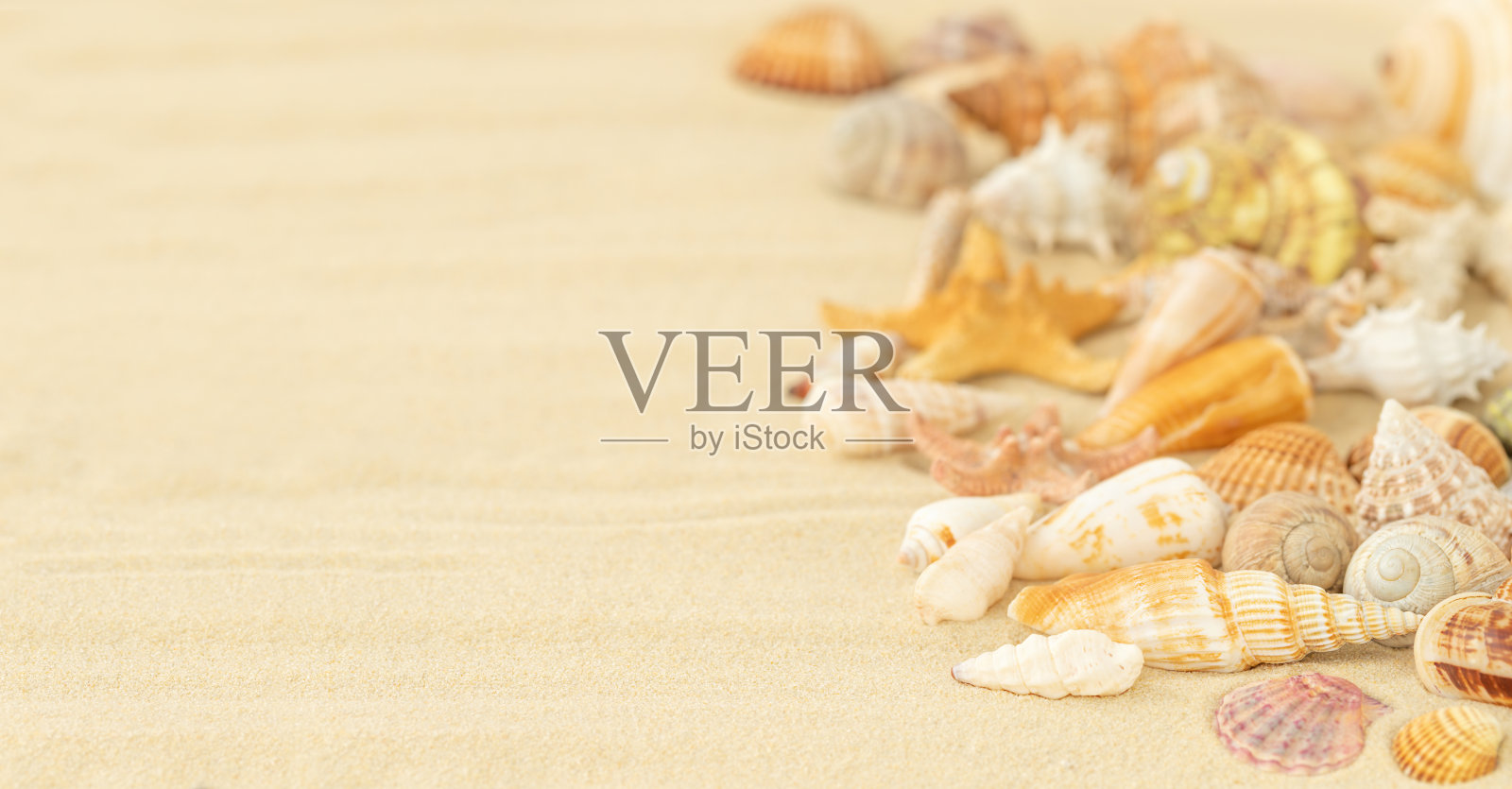 夏天的背景照片摄影图片