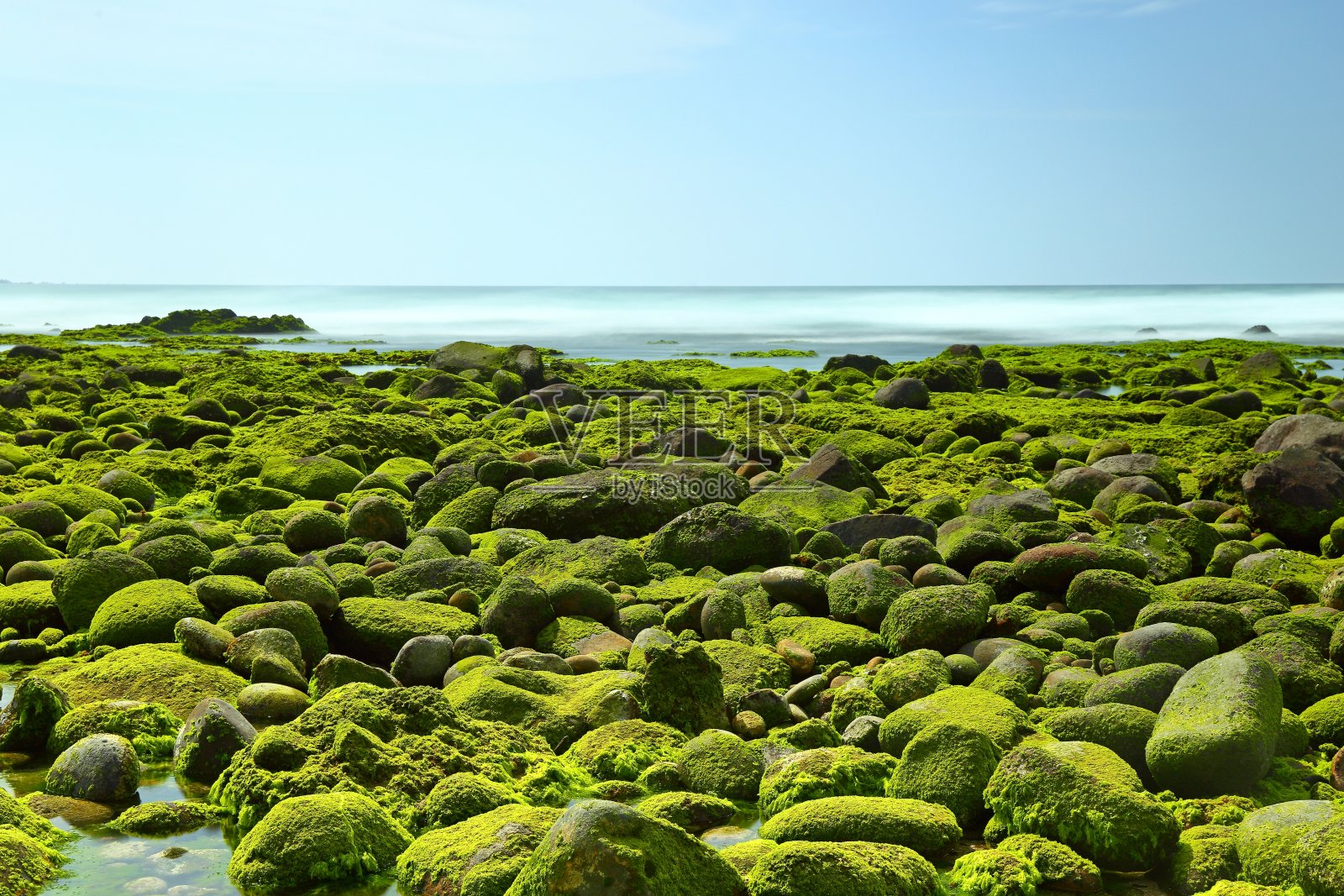 石门区石门洞附近的绿藻海滩，照片摄影图片