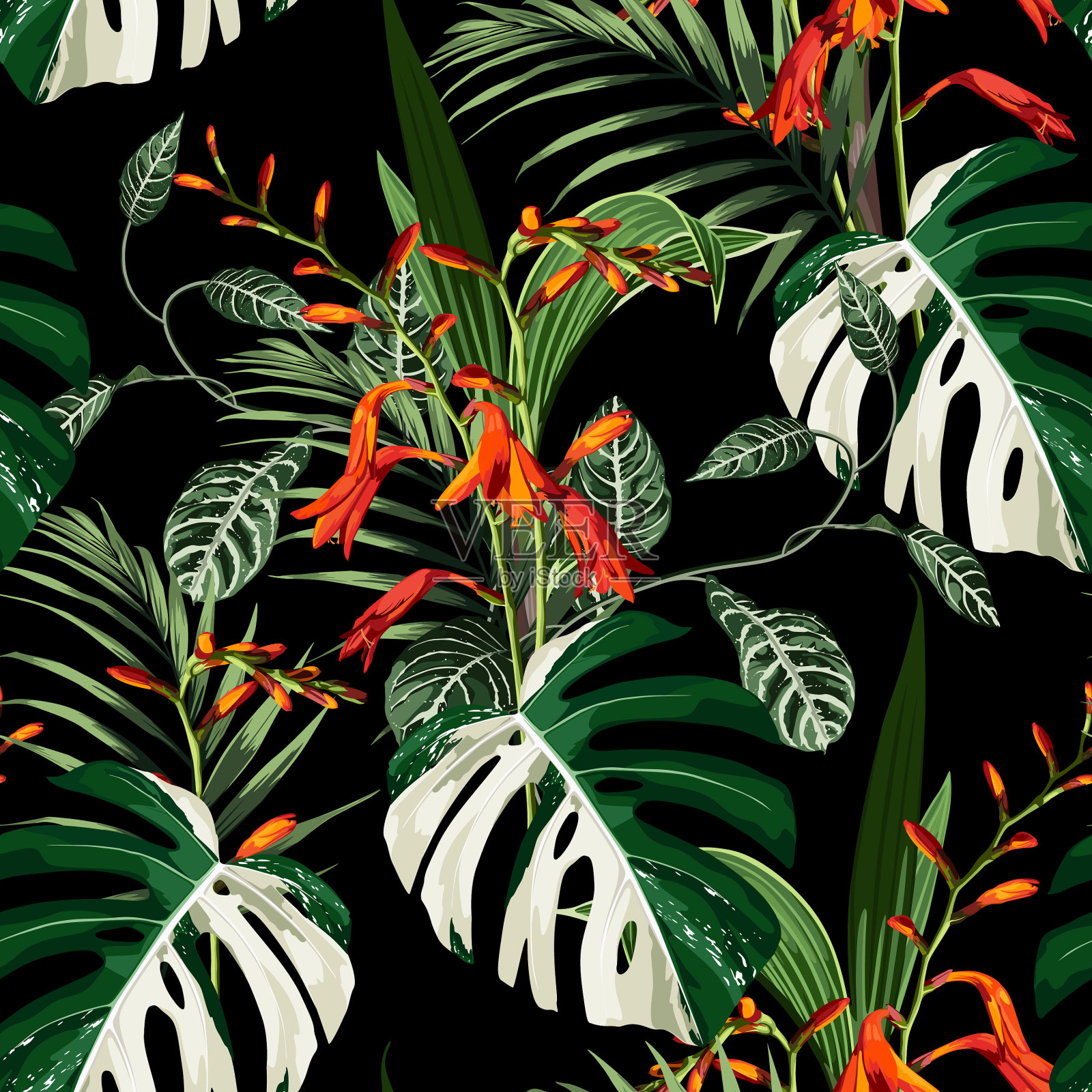 热带橘红色的花和叶插画图片素材