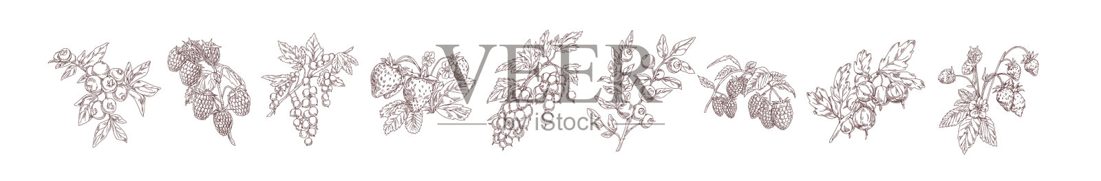 设置现实的细节单色浆果设计元素图片