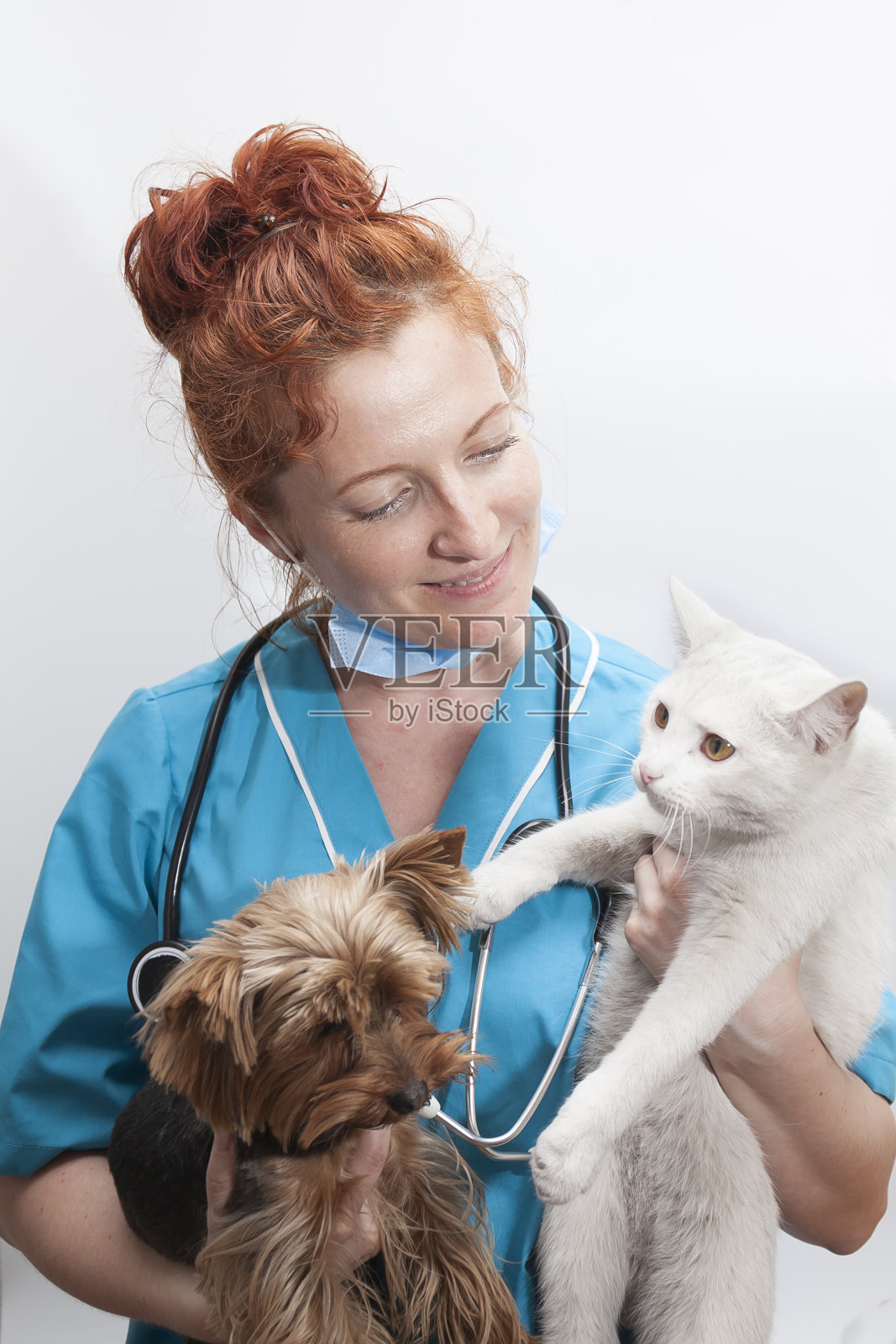 女兽医的肖像在医疗制服与狗和猫的手在孤立的白色背景照片摄影图片