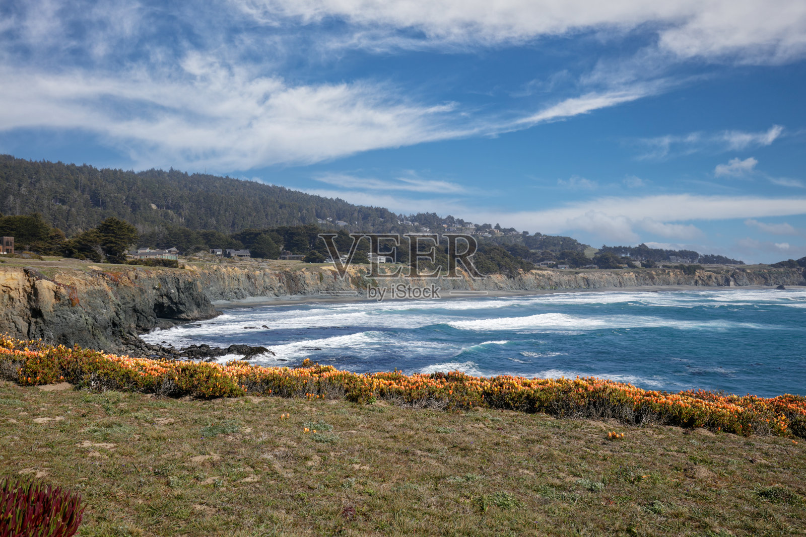 晴天下的加利福尼亚州北部海岸照片摄影图片