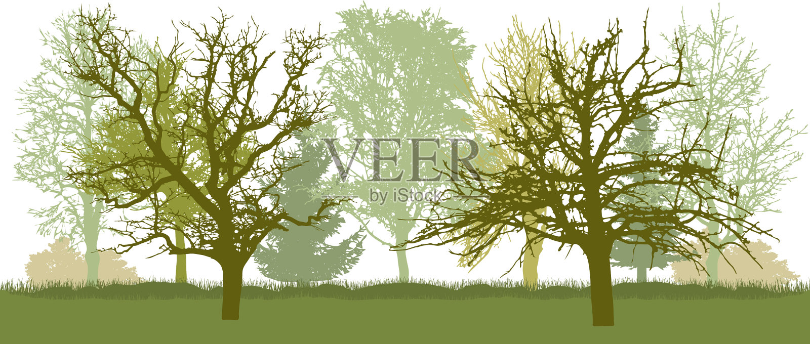 早春公园树木光秃秃的设计元素图片