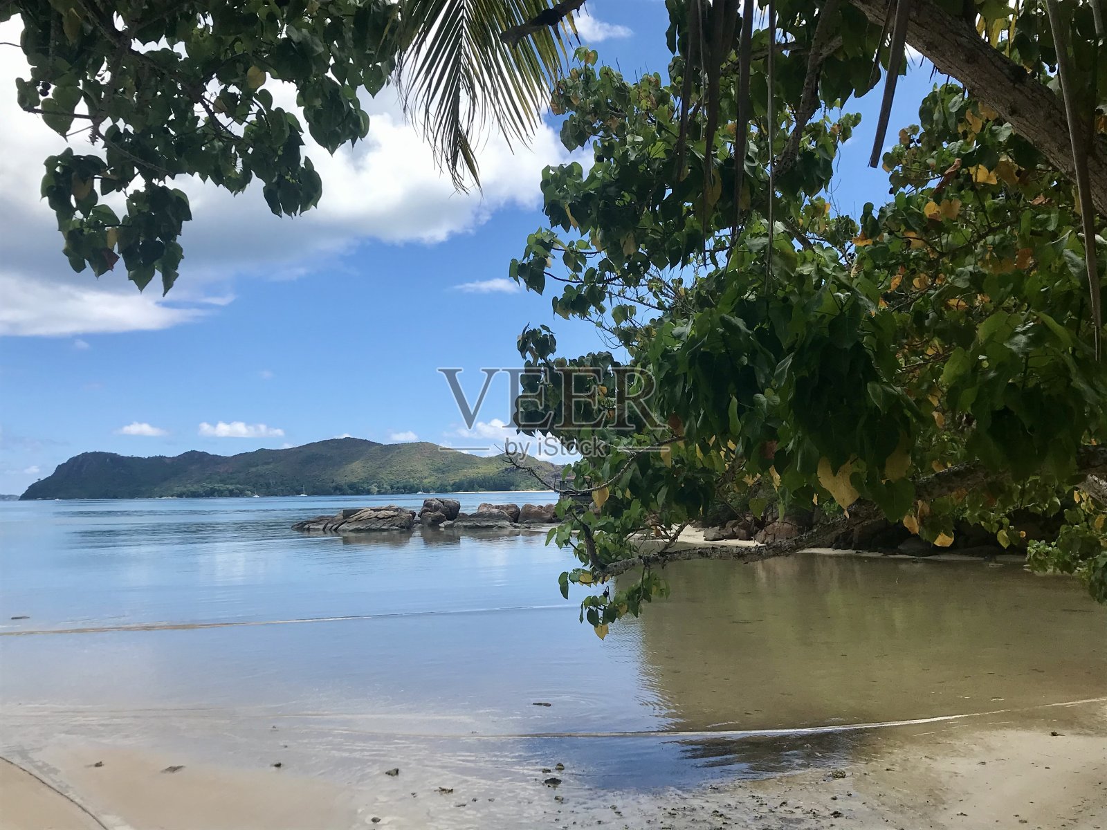 塞舌尔-普拉林岛照片摄影图片