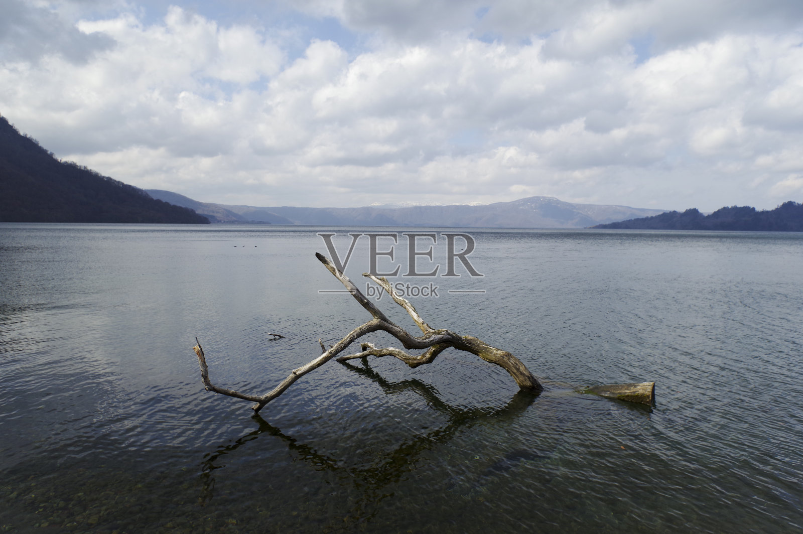 湖Towada照片摄影图片