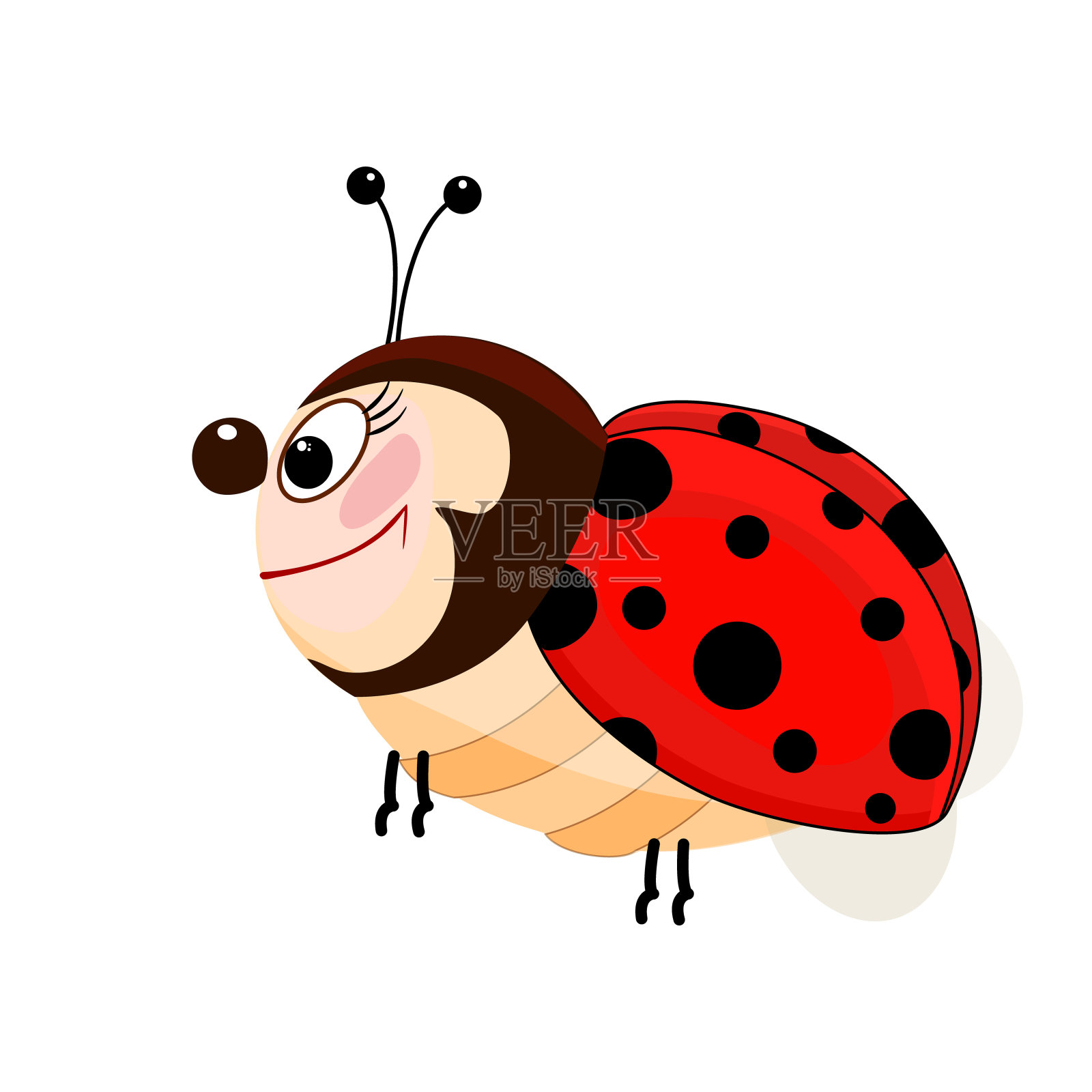 小瓢虫孤立在白色背景。设计元素图片