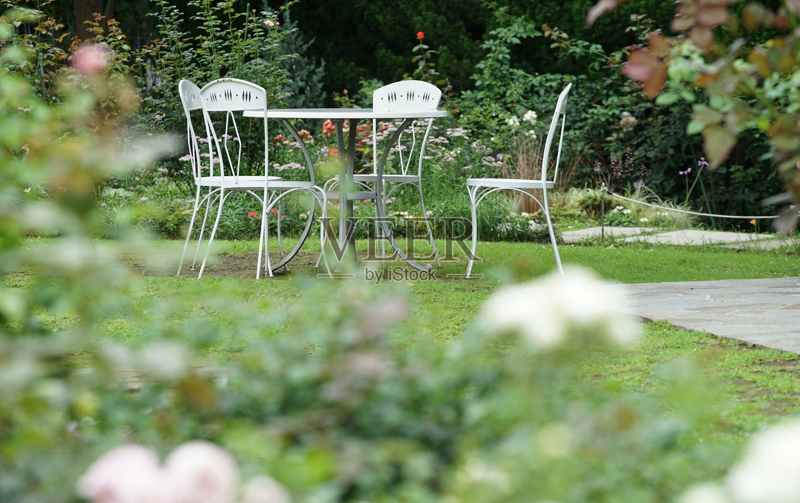 花园照片摄影图片