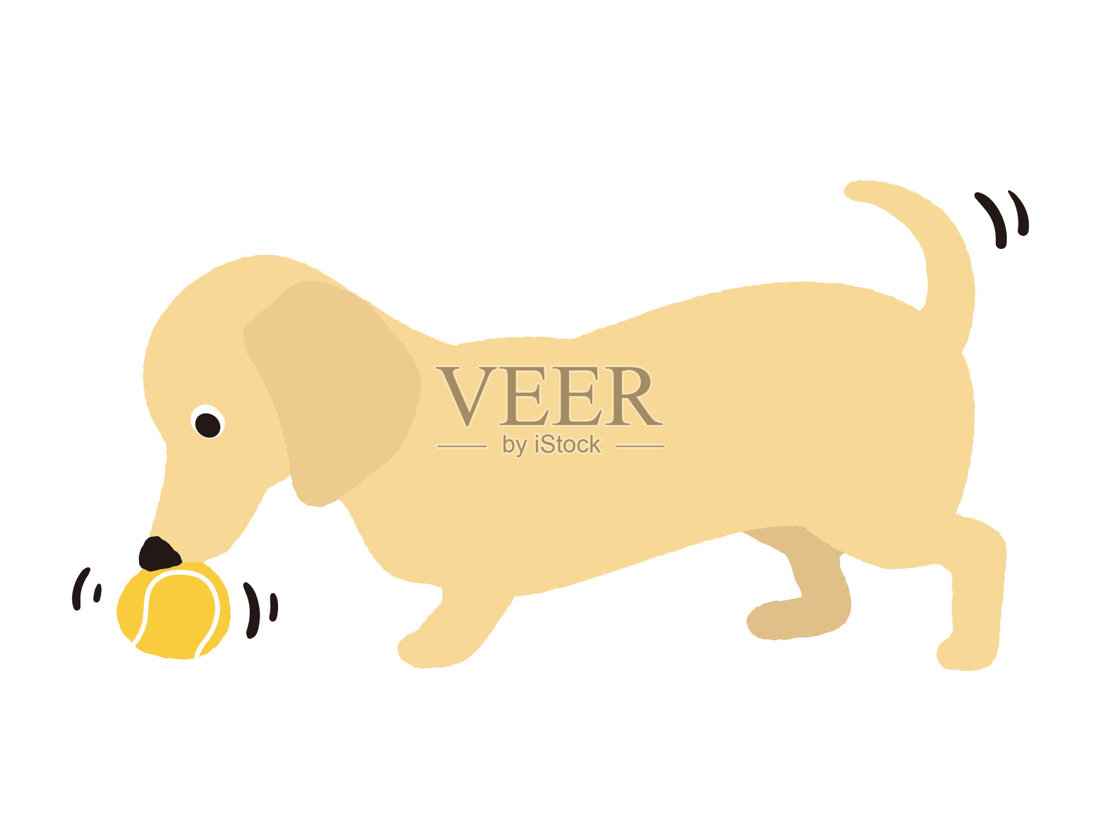狗在玩球。腊肠犬。插画图片素材
