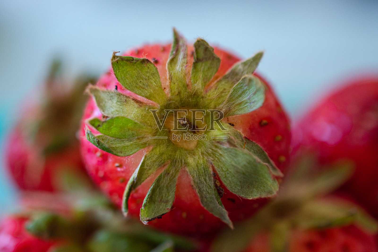 草莓的背景照片摄影图片