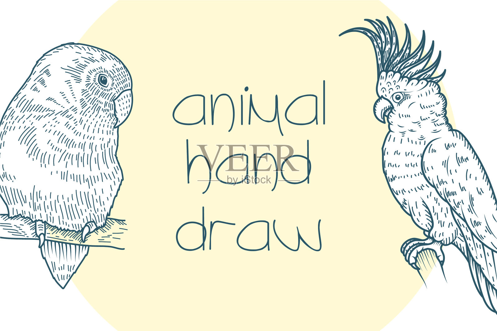 鹦鹉和小鸟人物写实画风插画图片素材