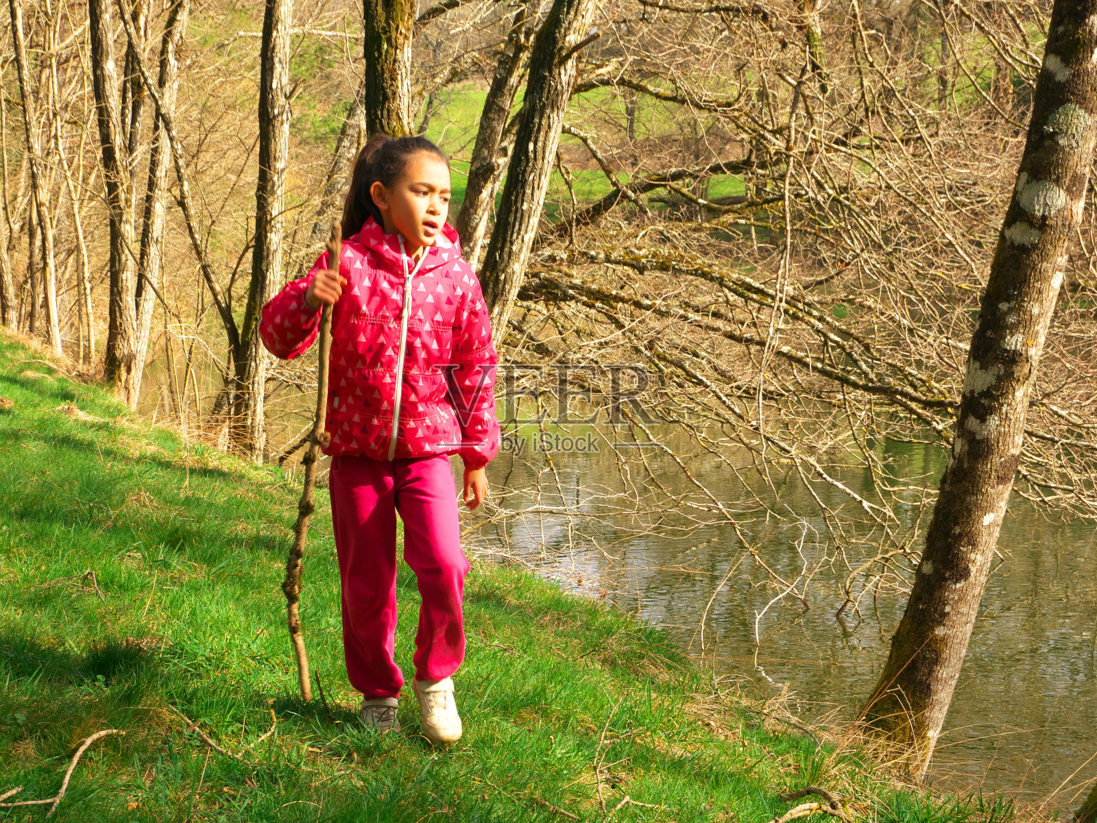 一个法国女孩穿着粉红色的夹克和裤子，拿着一根木棍在湖边散步照片摄影图片