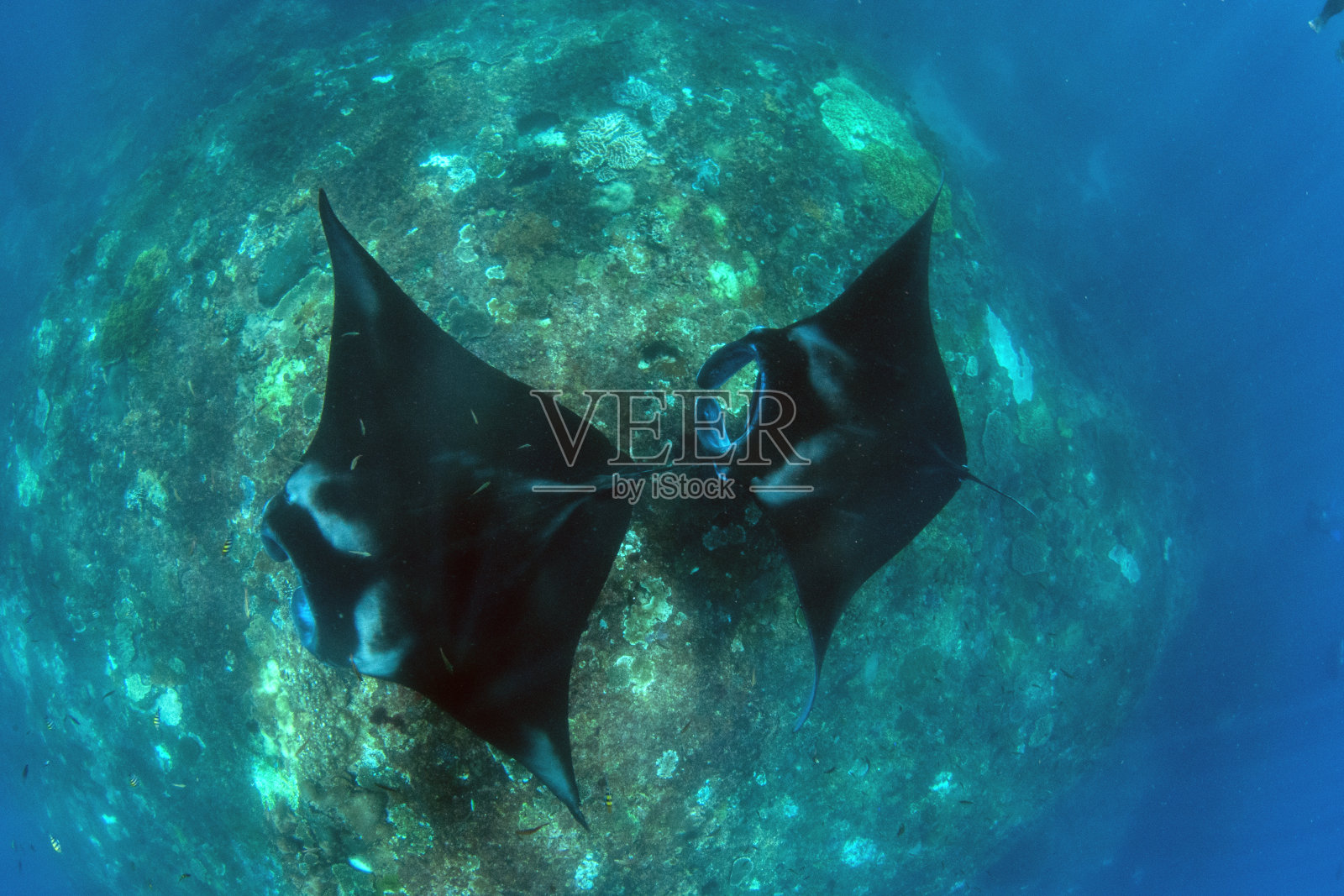 雄伟的毯子。照片摄影图片