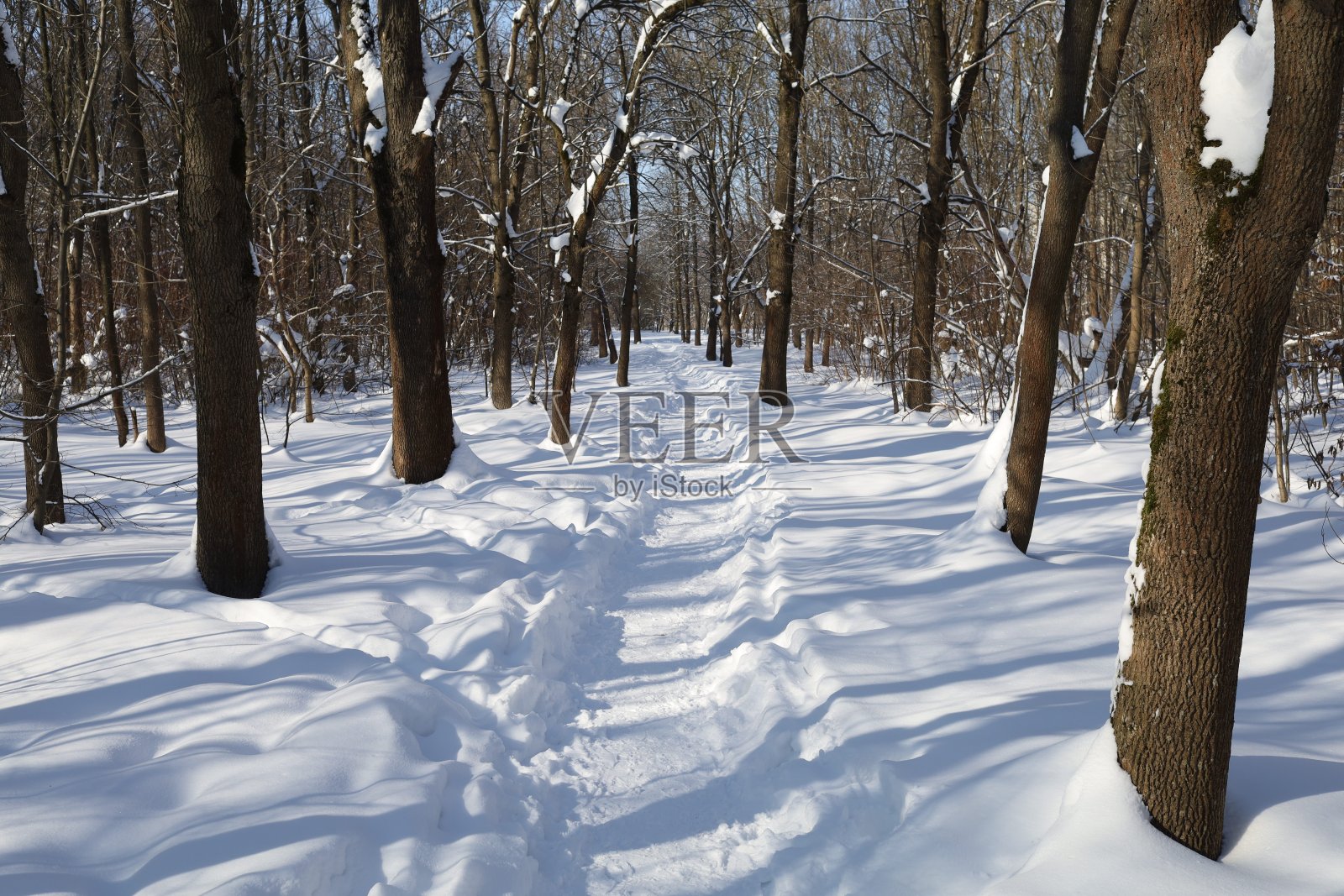 冬季和雪城公园景色优美照片摄影图片