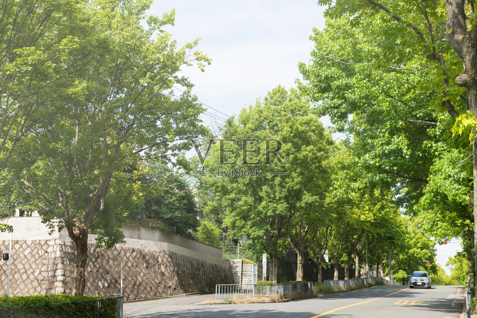 吹田市三色斋堂照片摄影图片