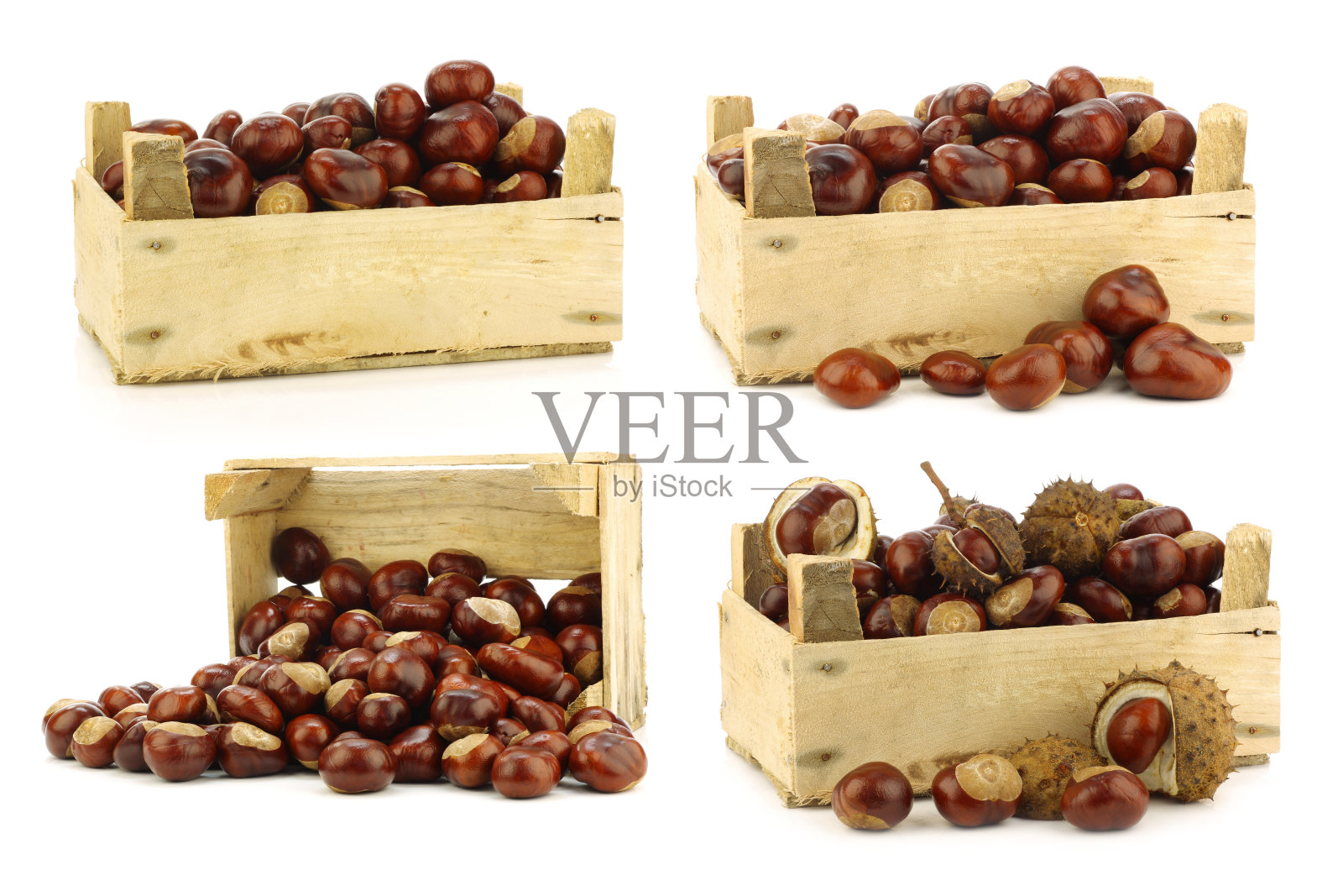 新鲜掉落的栗子(七叶树)装在木箱里照片摄影图片