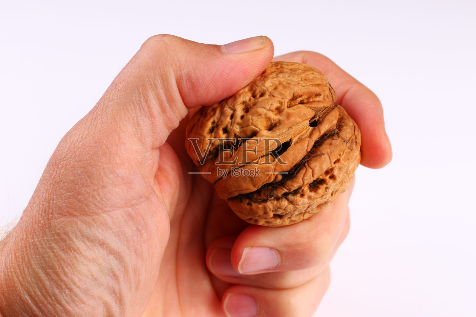 白色背景上的胡桃木照片摄影图片