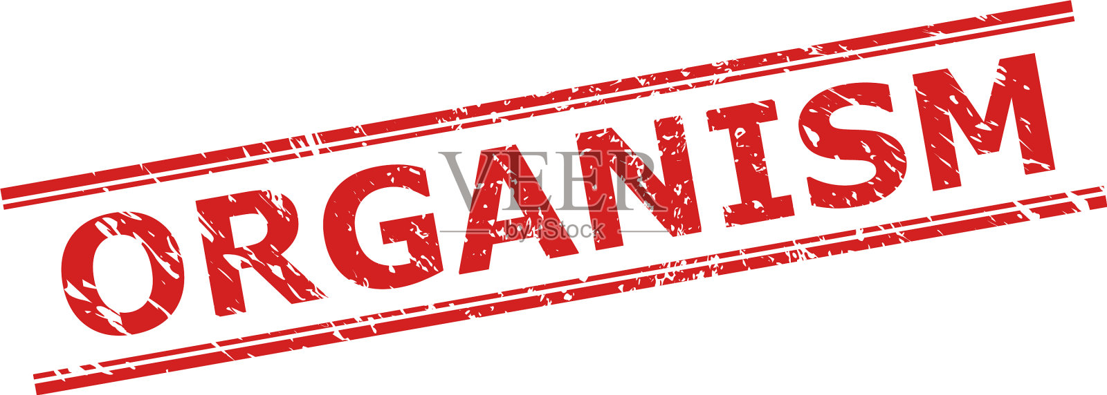 生物印章印章与腐蚀的纹理和插画图片素材