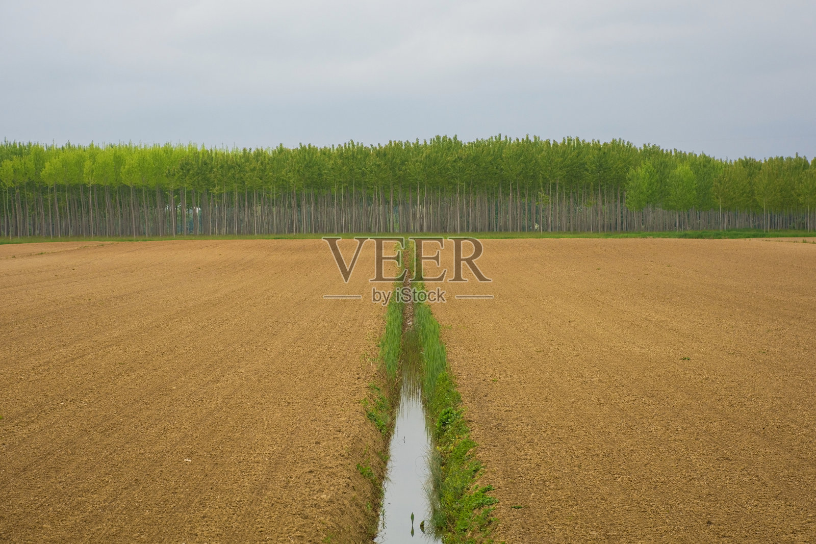 意大利圣乔治迪诺加罗附近的风景照片摄影图片