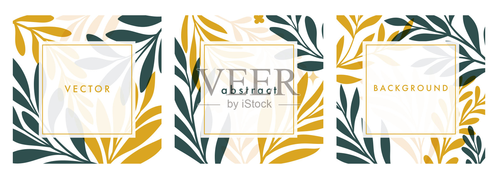 一套方形模板与植物元素。现代矢量花插图印刷设计，社交媒体发帖，网络广告。抽象的植物背景。插画图片素材