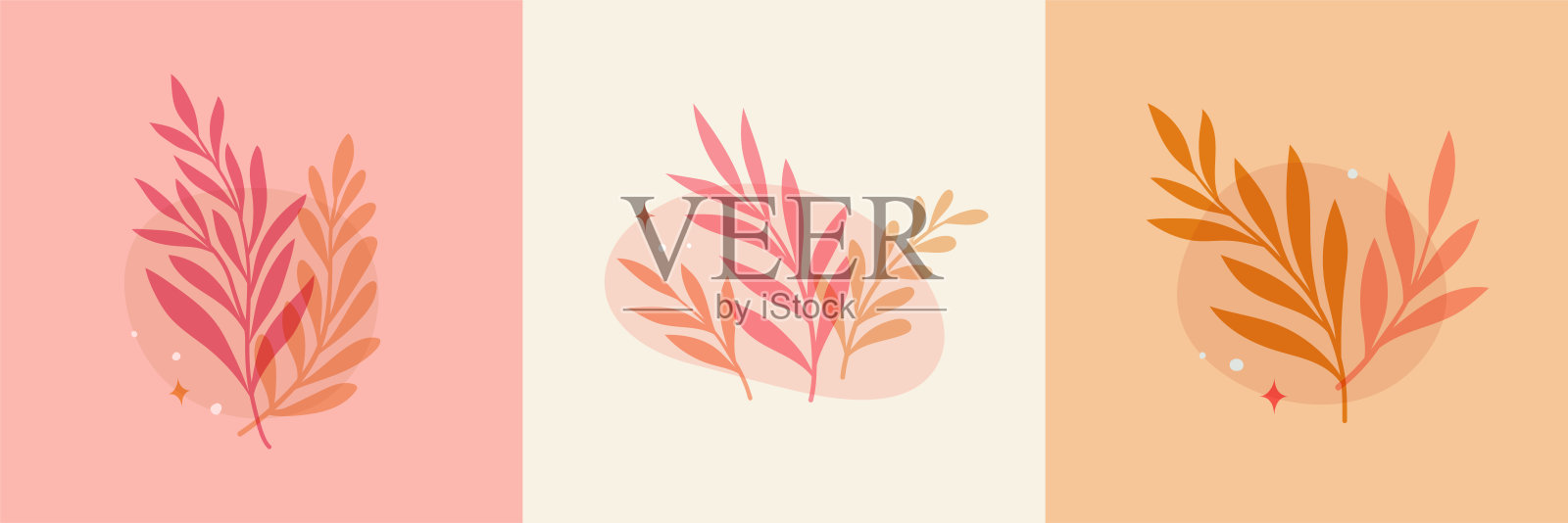 向量现代插花背景。可爱精致的植物插图与树叶和植物。插画图片素材