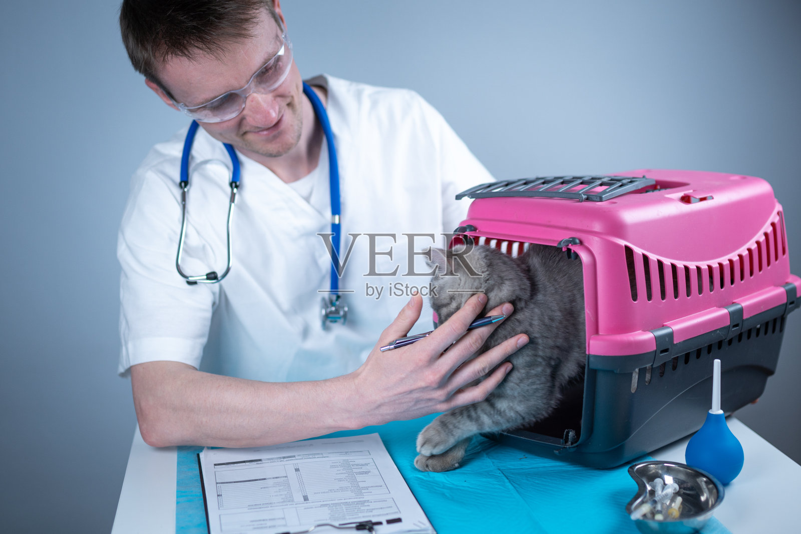 宠物猫在兽医诊所的检查台上与宠物医生。男兽医在白色医疗服做笔记在检查表和苏格兰直猫有乐趣照片摄影图片