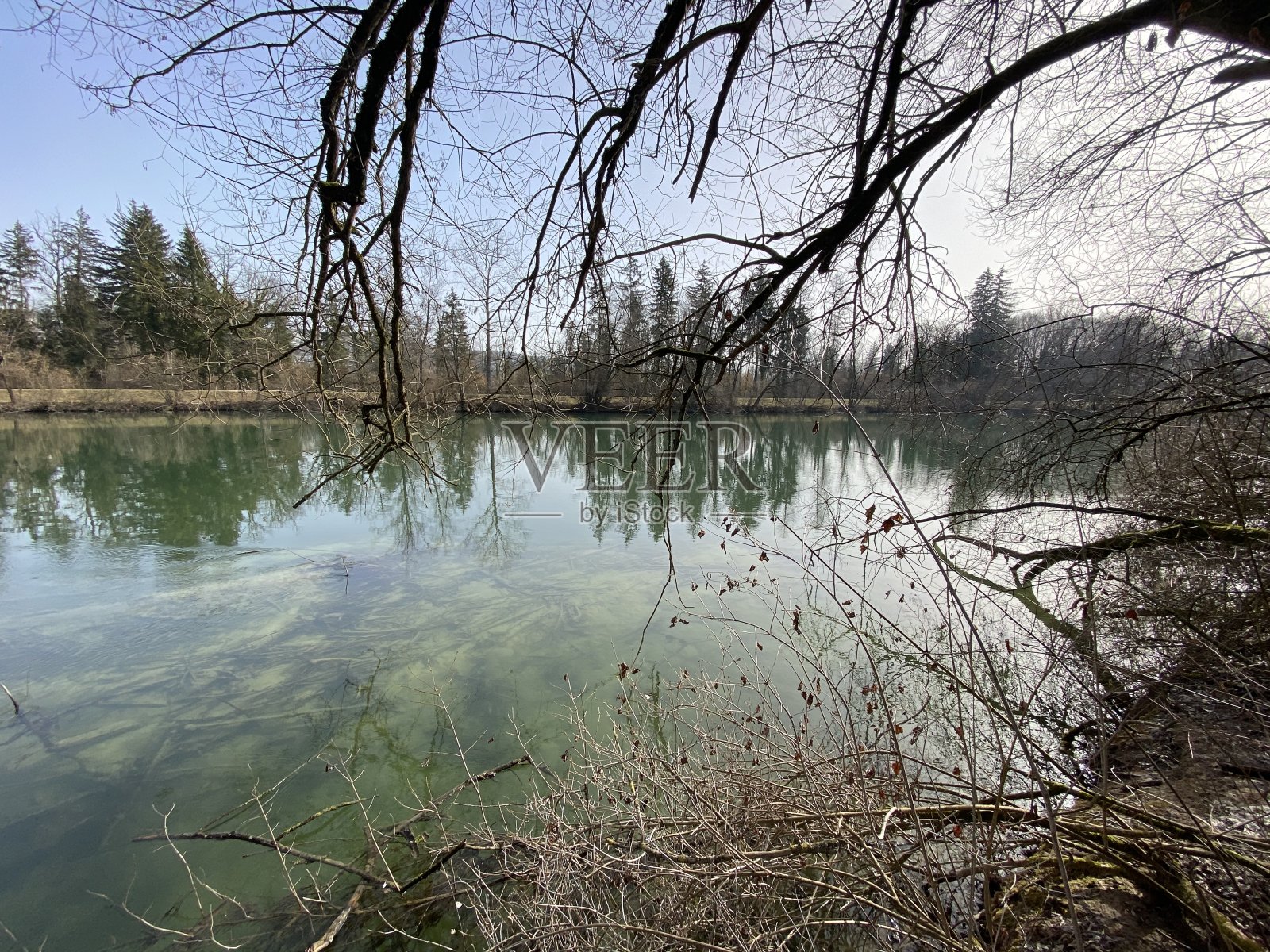 弗拉奇湖之前的罗伊斯河和自然保护区阿尔高罗伊斯河平原(Naturschutzzone Aargauische Auen in der Reussebene)，瑞士罗滕施维尔(Schweiz)照片摄影图片