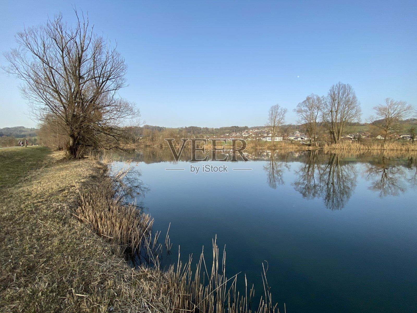 阿尔高罗伊斯河平原(Naturschutzzone Aargauische Auen in der Reussebene)自然保护区的弗拉赫湖或弗拉赫湖(Flachsee)，瑞士(Schweiz)照片摄影图片