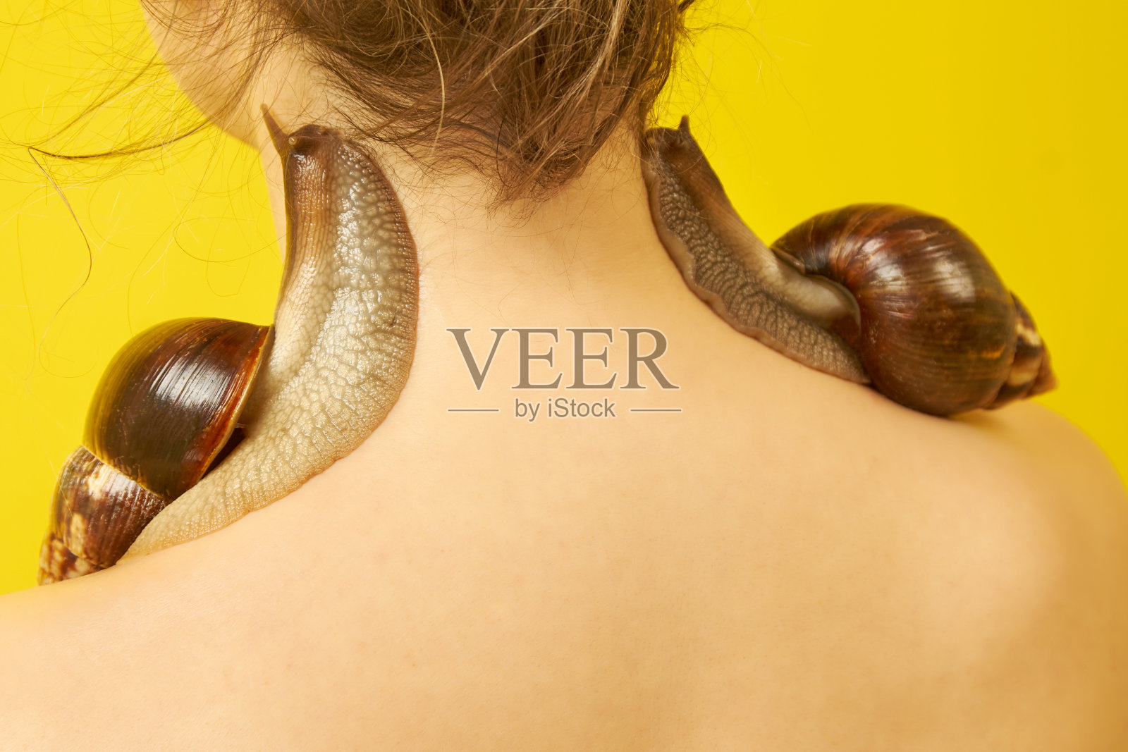 一个女人，黄色背景上有一只蜗牛照片摄影图片