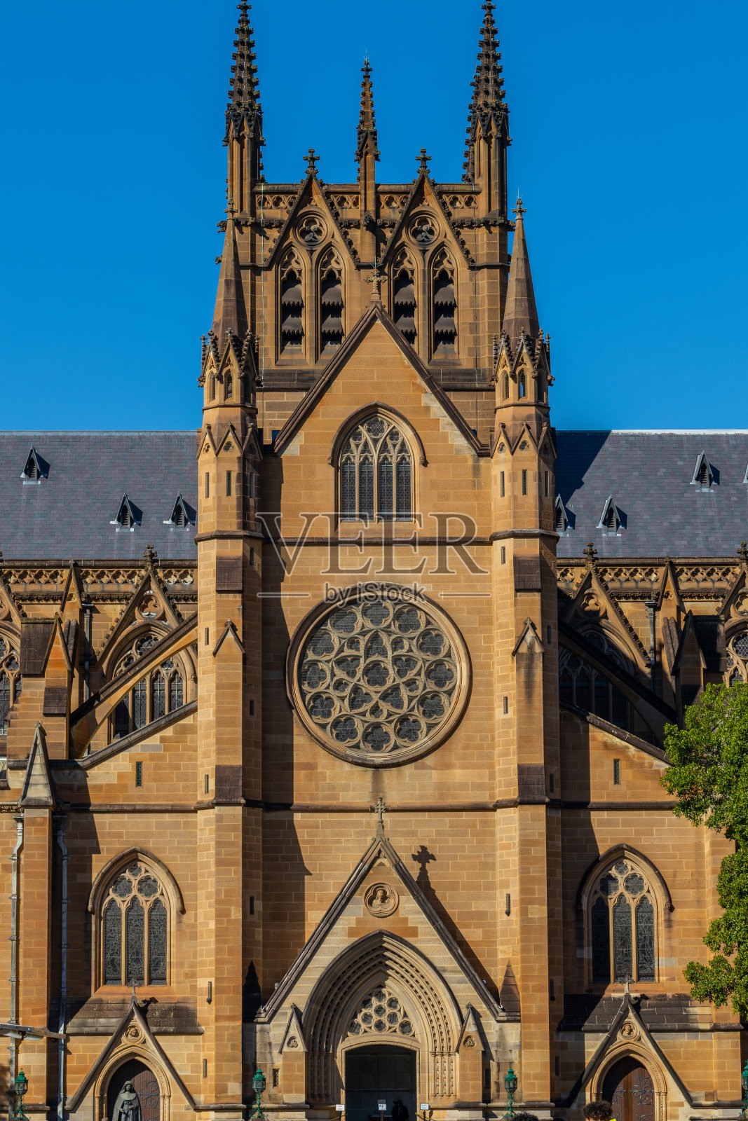 圣玛丽大教堂教堂宗教礼拜场所悉尼新南威尔士州澳大利亚圣玛丽大教堂悉尼照片摄影图片