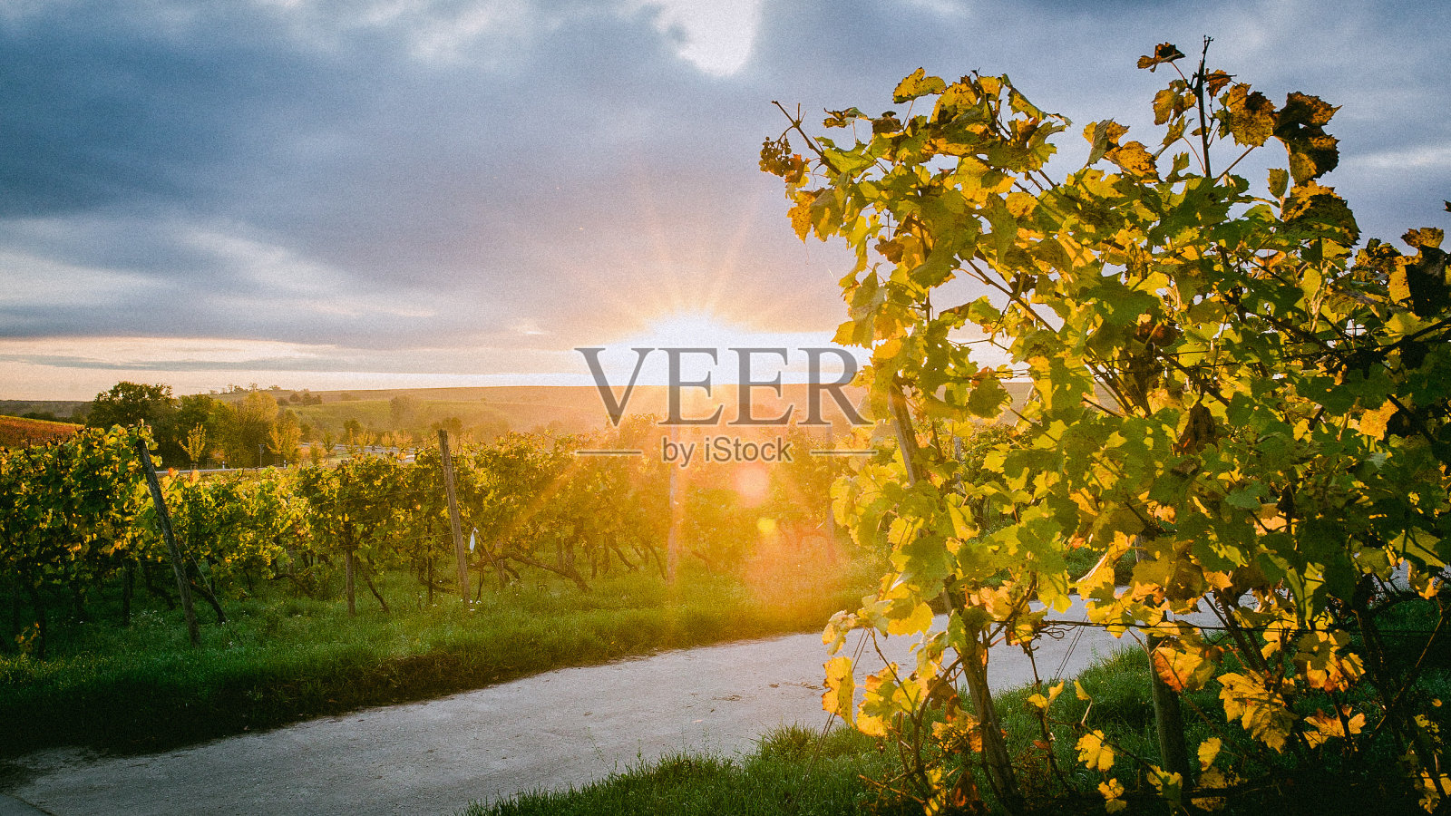 日出照片摄影图片