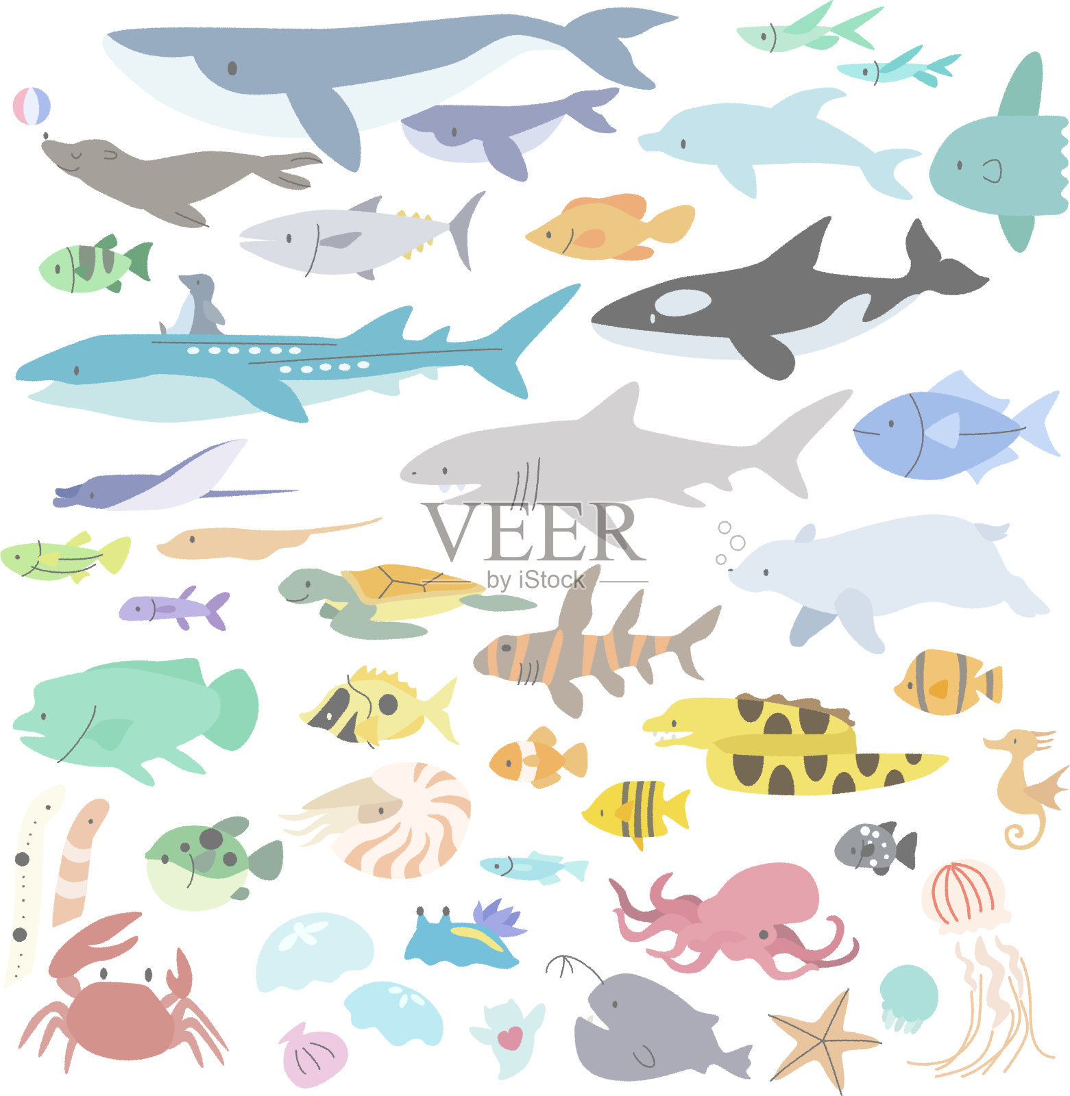海洋动物的插图插画图片素材