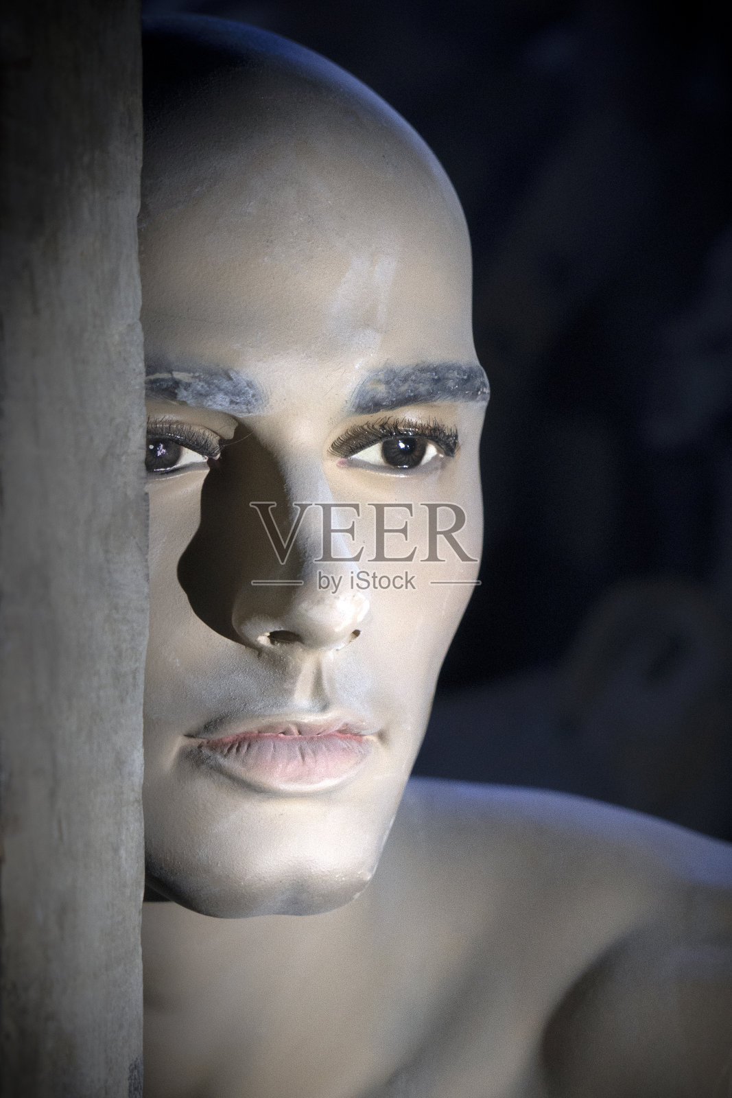 一个人体模型的头照片摄影图片