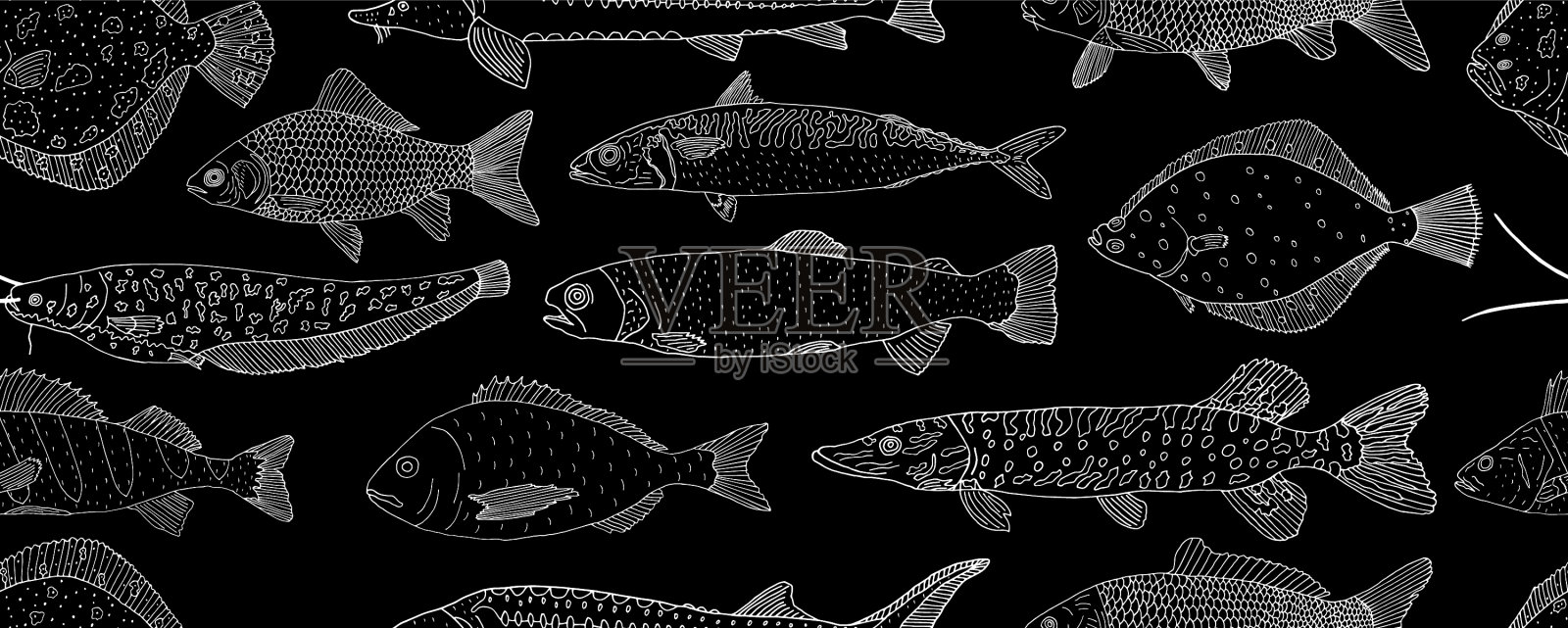 无缝图案鱼群手绘白插画图片素材
