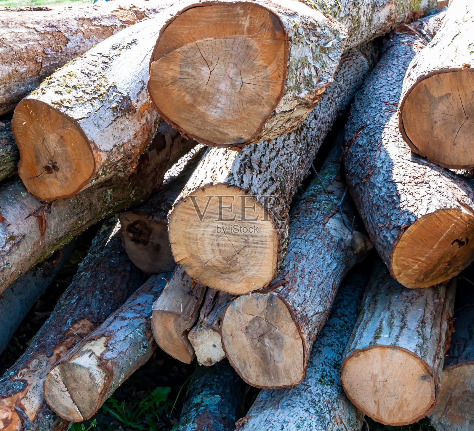 用于取暖的堆放的圆木照片摄影图片