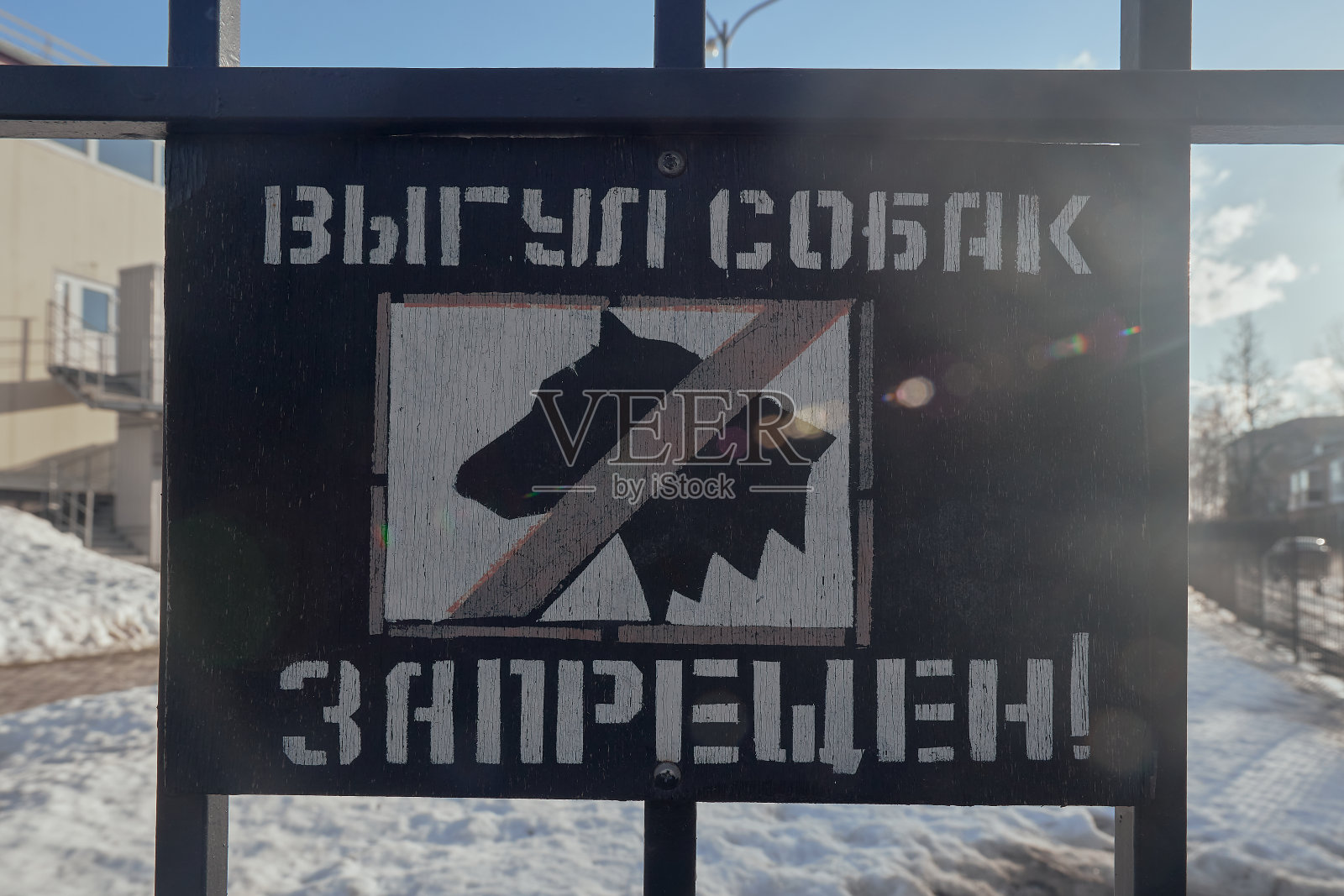 烟草上的题字，禁止遛狗。禁止在区内遛狗的标志。金属栅栏上的黑色标志照片摄影图片