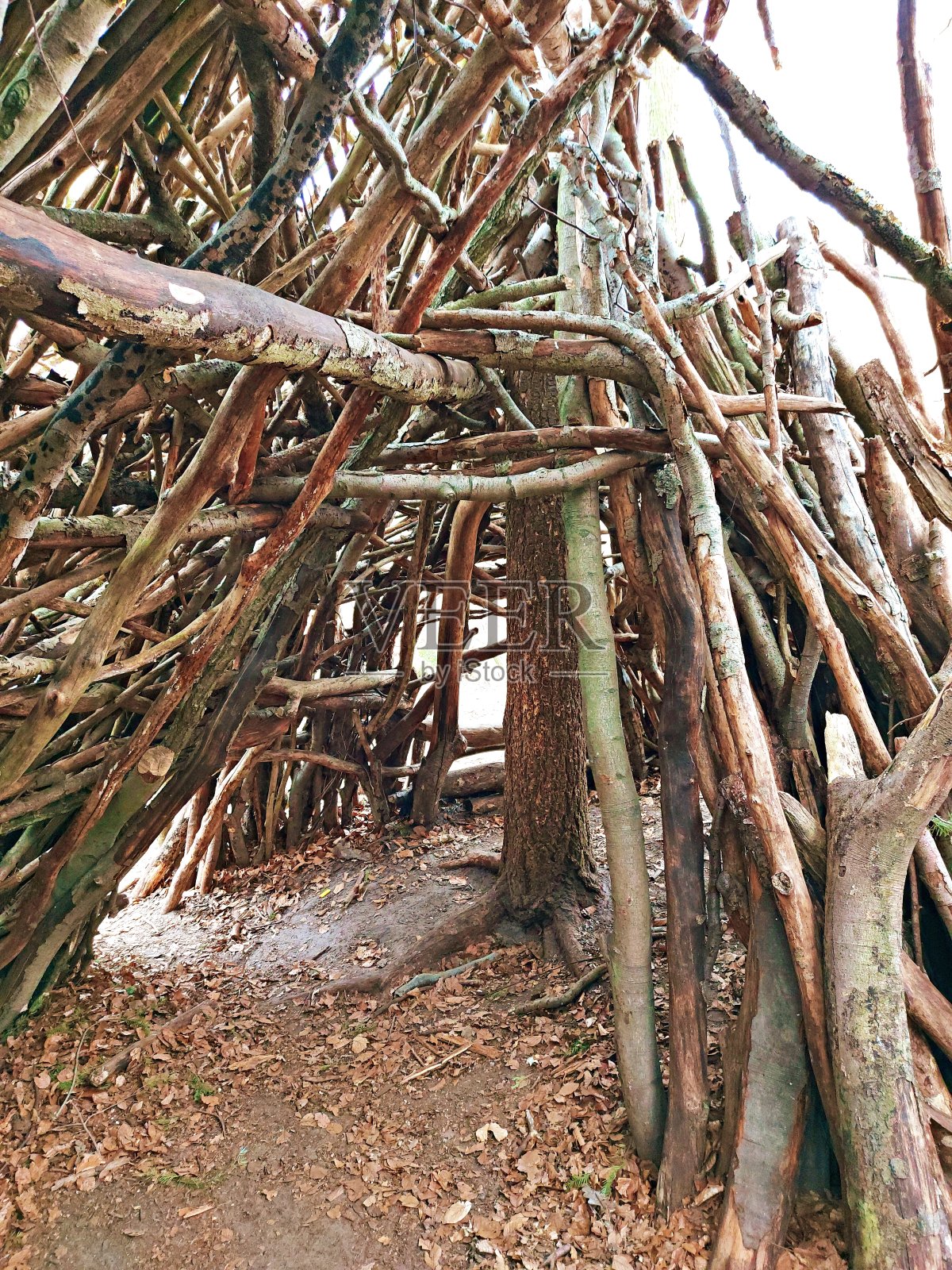 一个摊位，休闲活动照片摄影图片